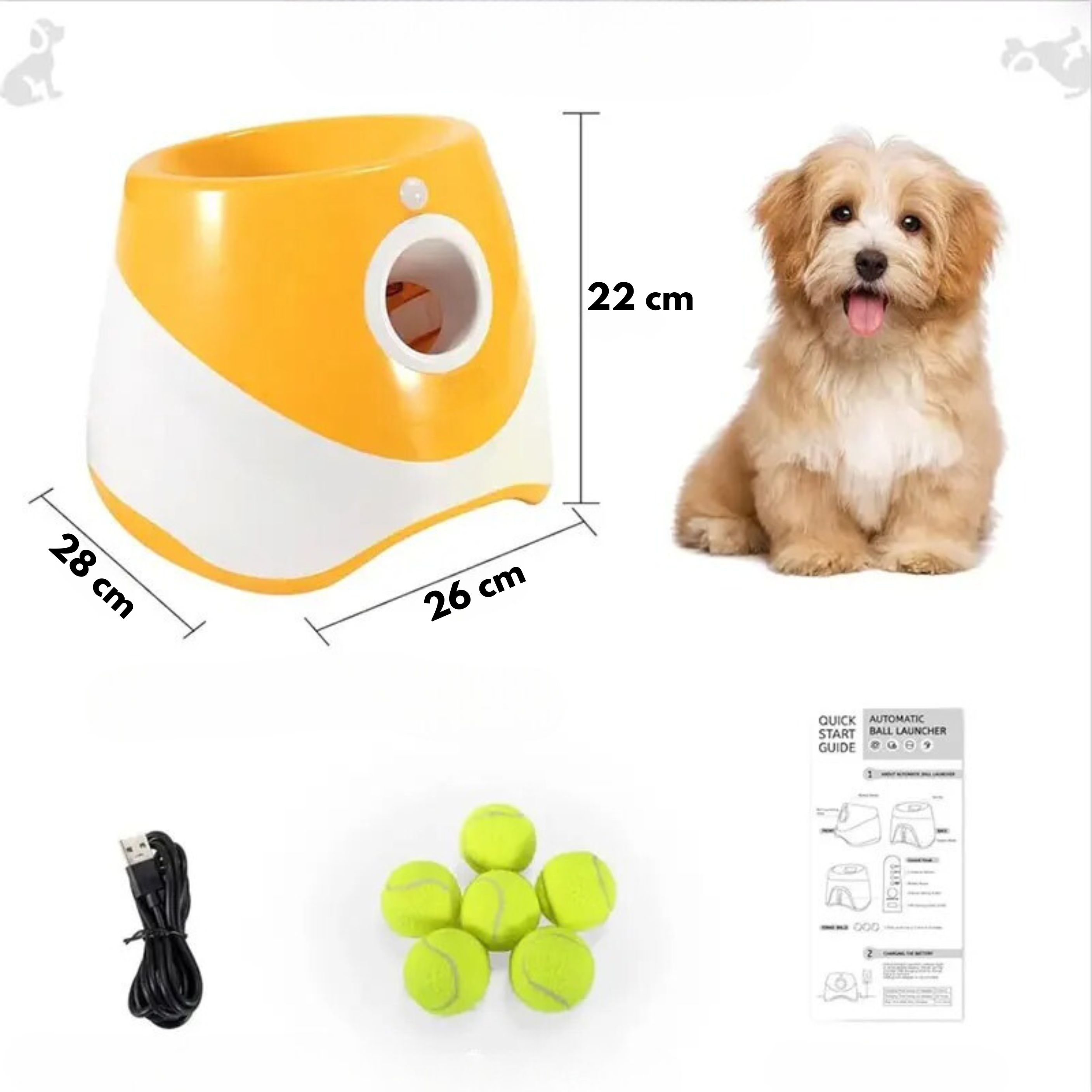 Lanzador Automático de Pelotas