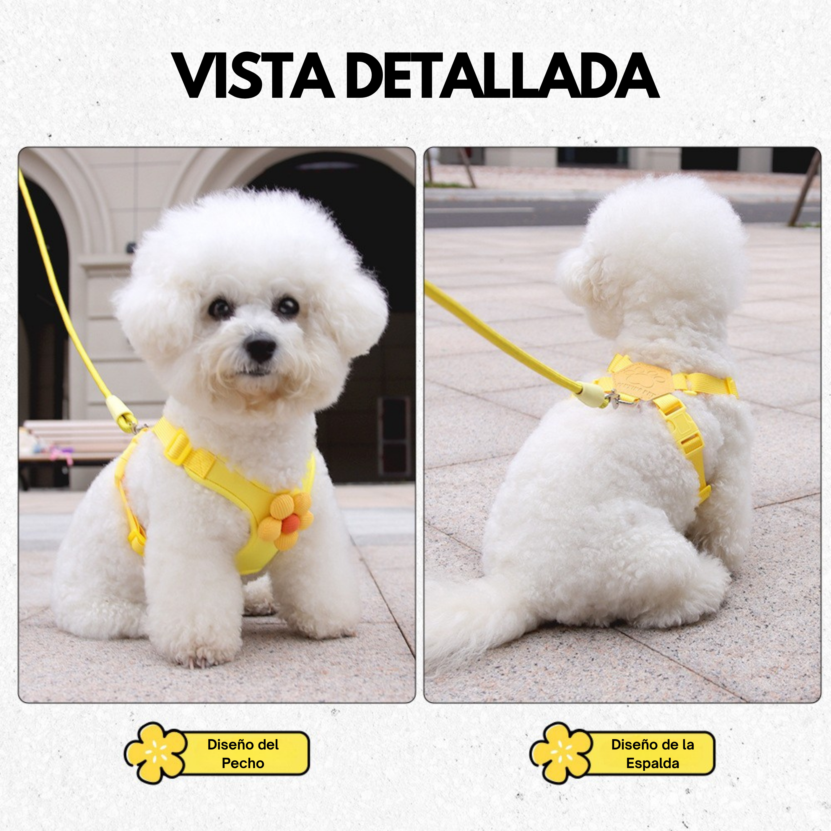 Set de Arnés Floral para Perros