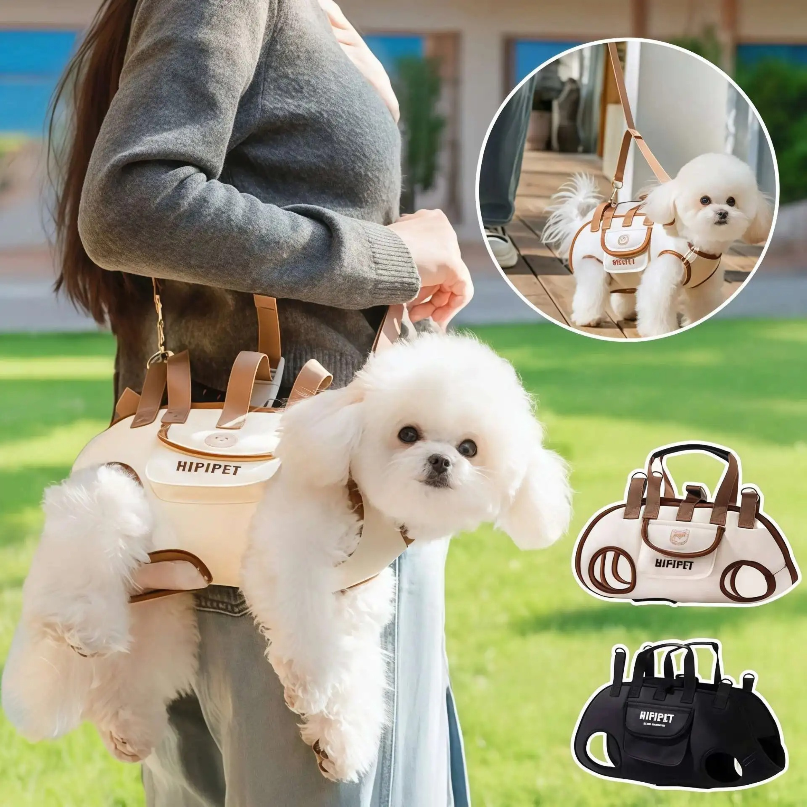 Maltepoodle