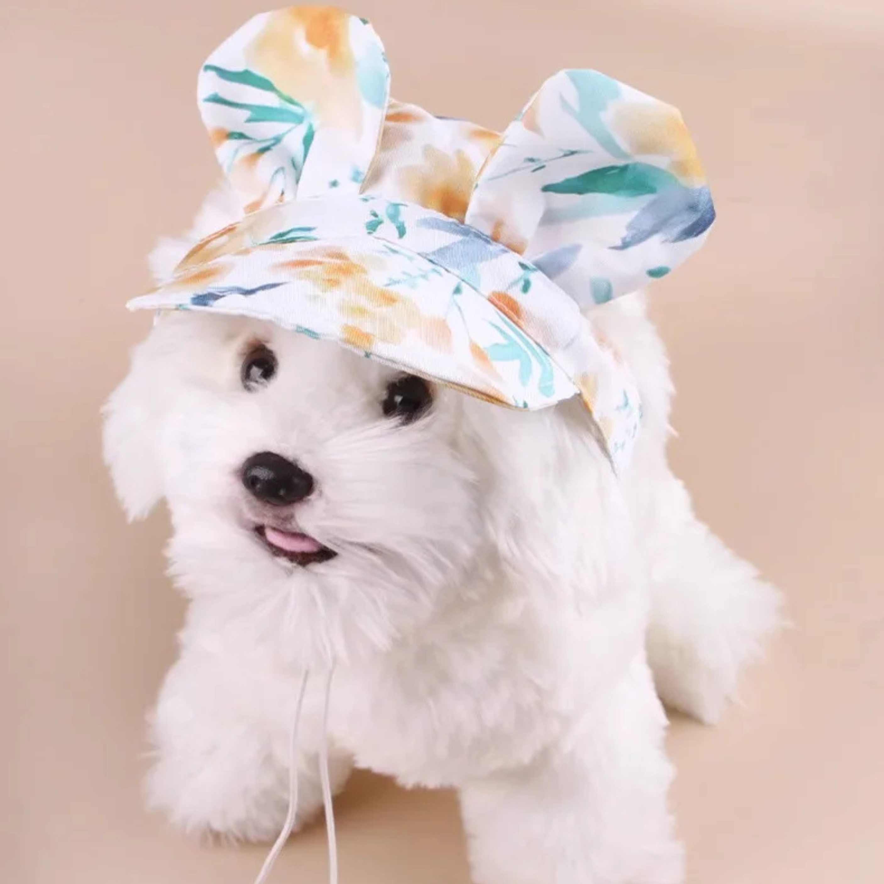 Gorro con Orejas de Conejo