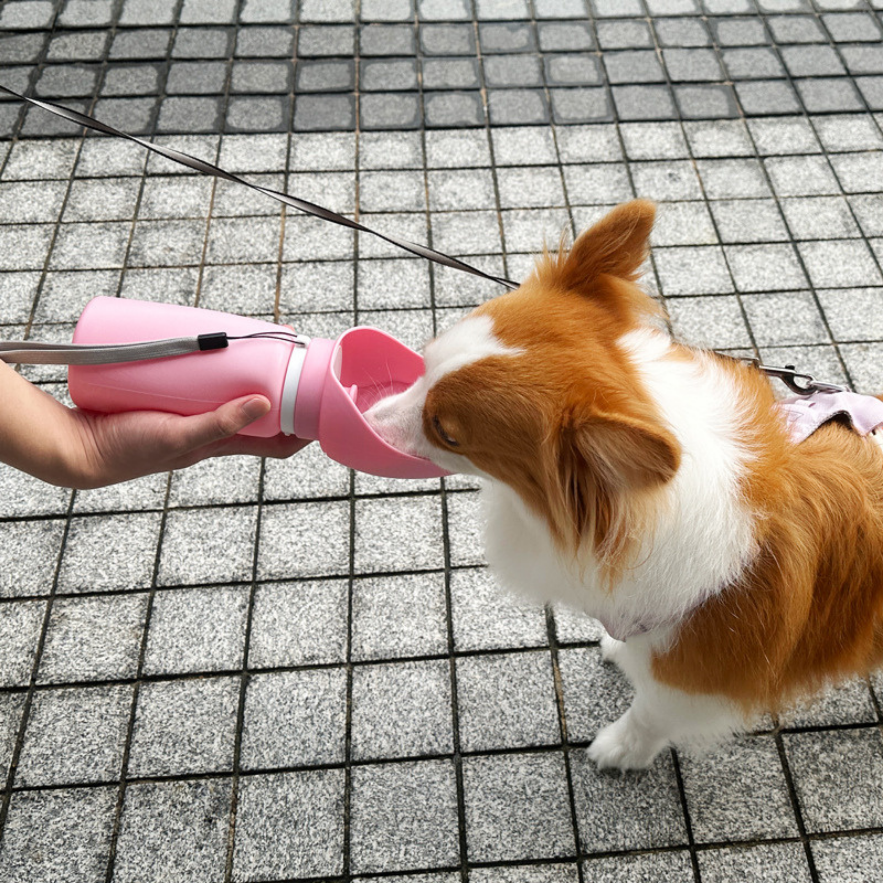 Botella de Agua Plegable