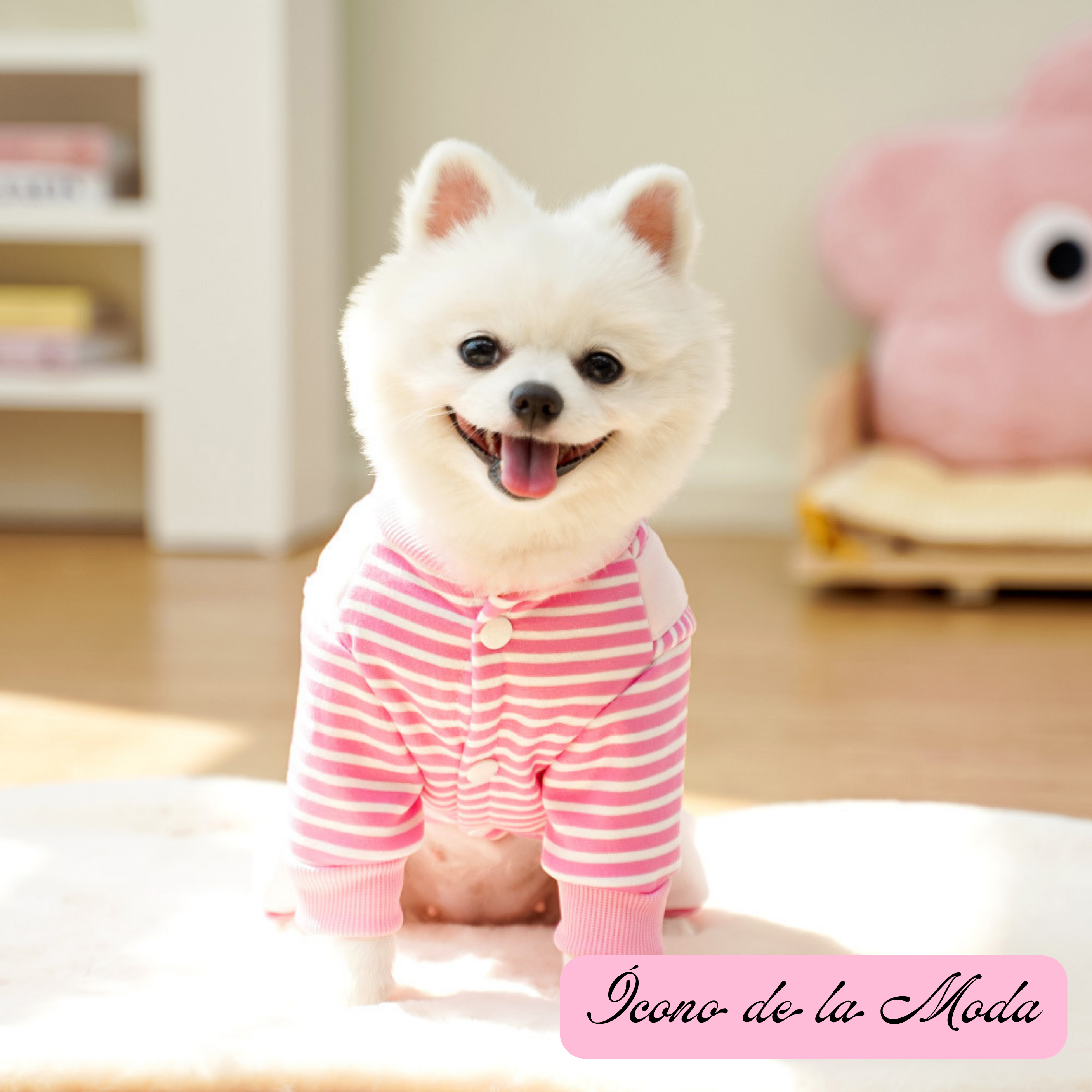 Mono Disfraz FunnyDuck