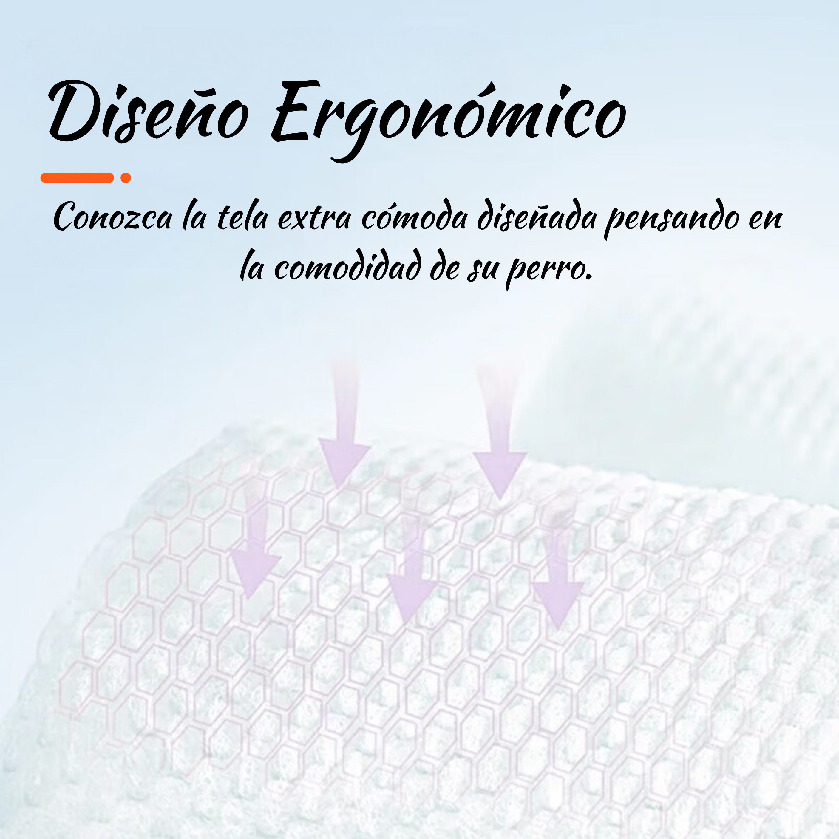 Zapatos Ligeros CoolPaw