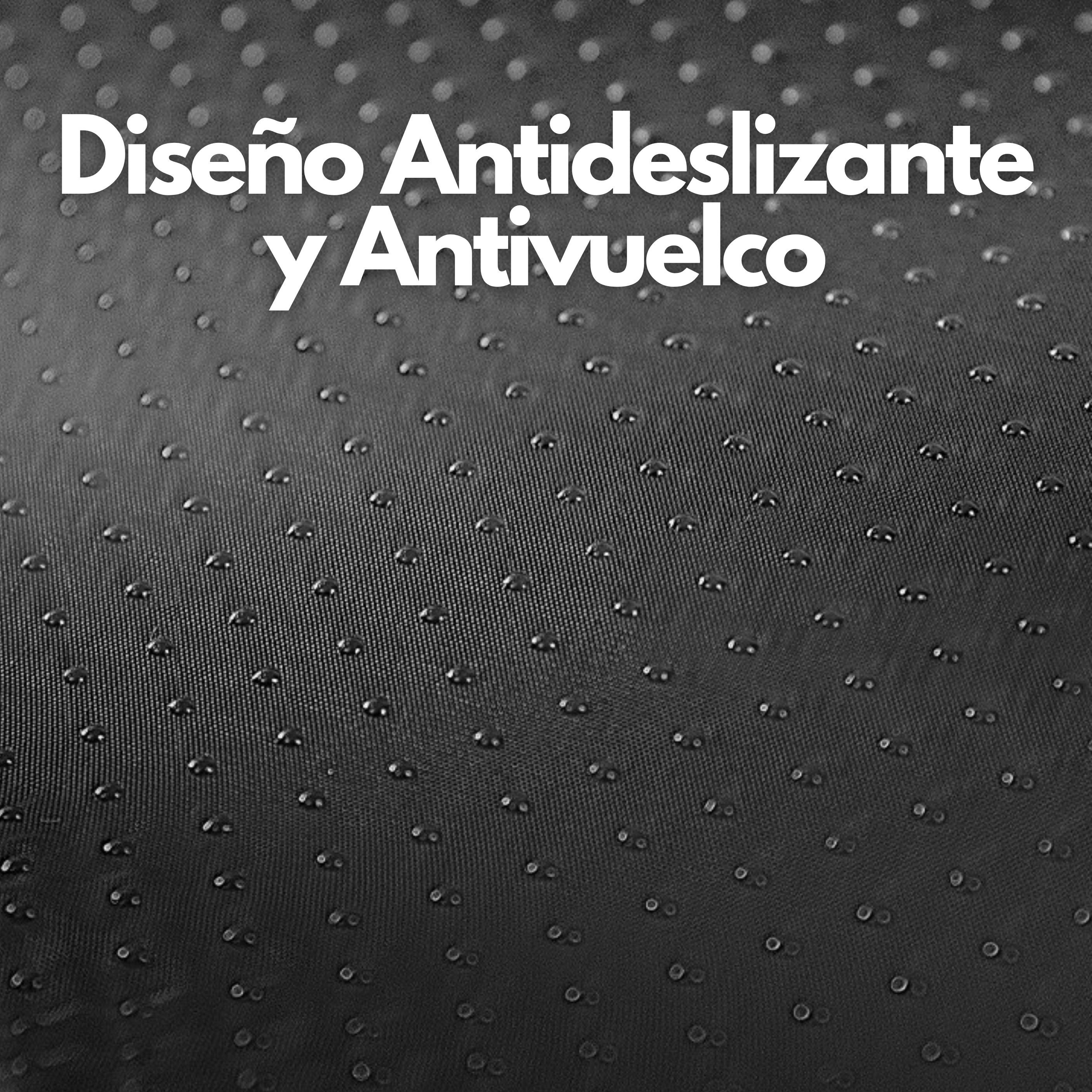 Rampa de Apoyo para Mascotas