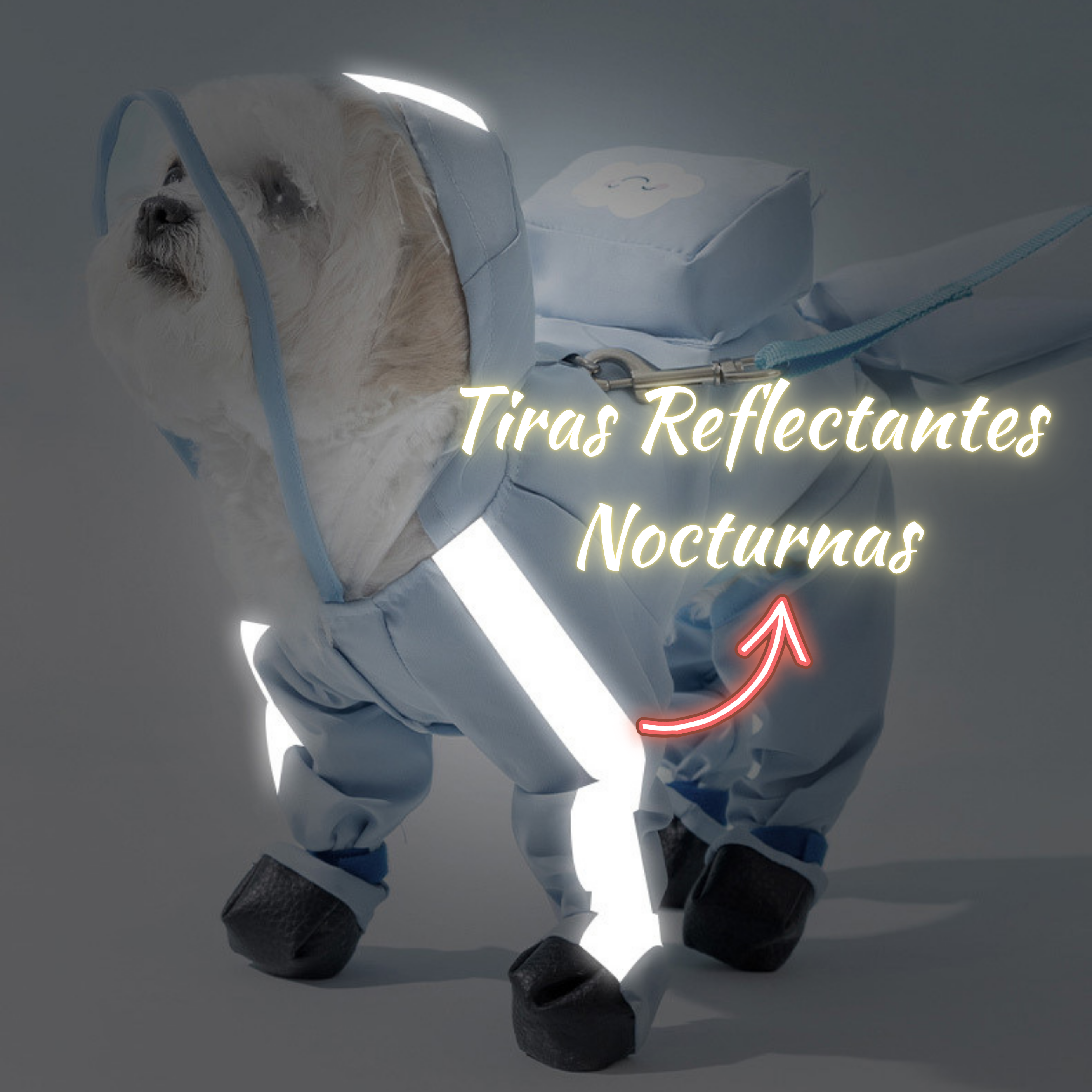 Impermeable para Perros