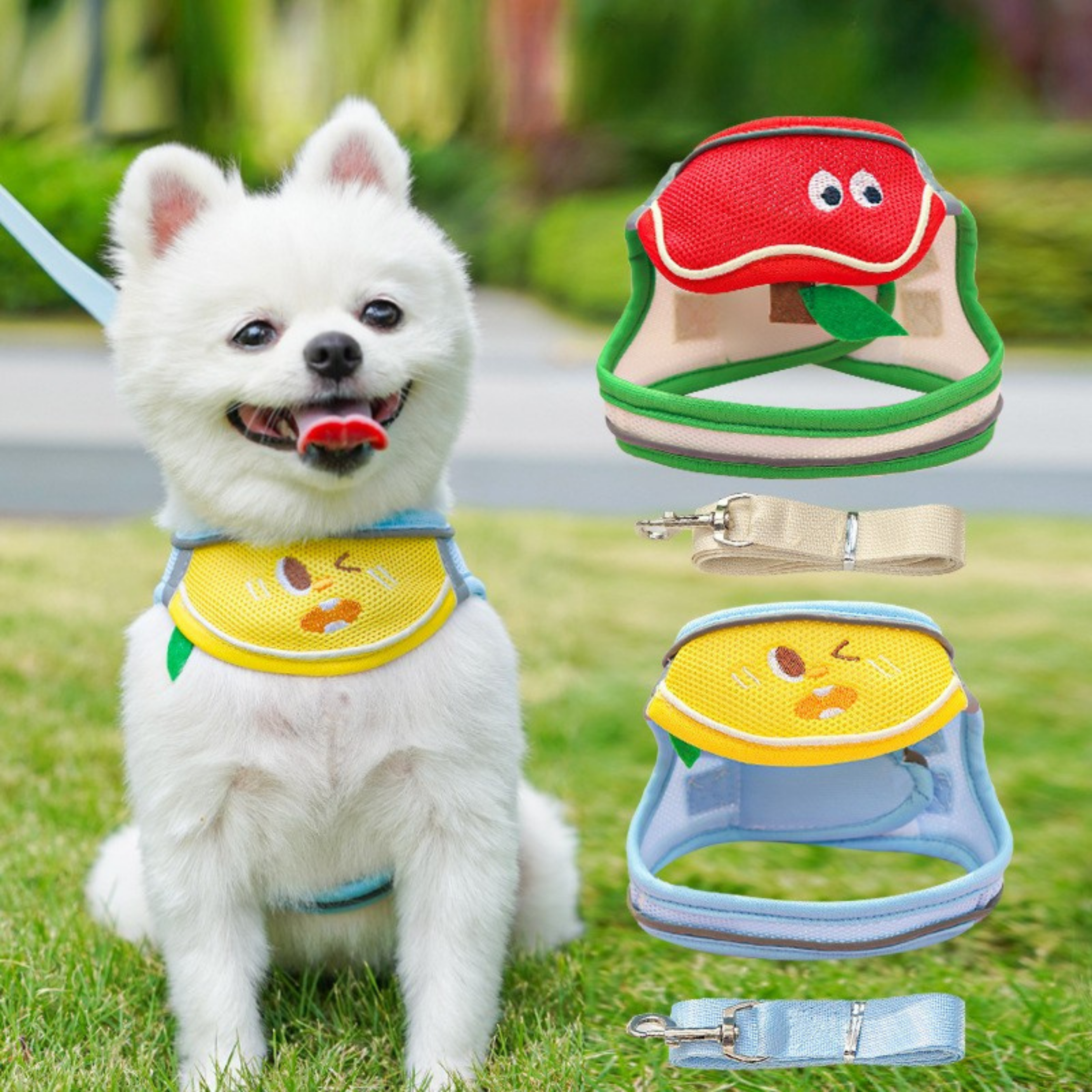 Arnés Babero con Personaje para Perros