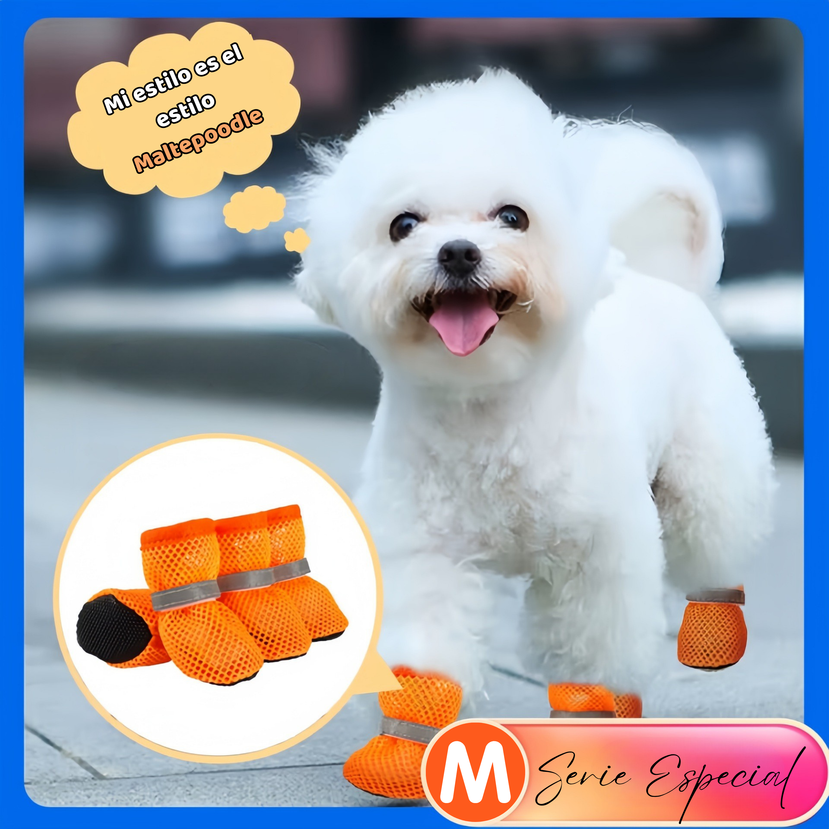 Zapatos Ligeros CoolPaw