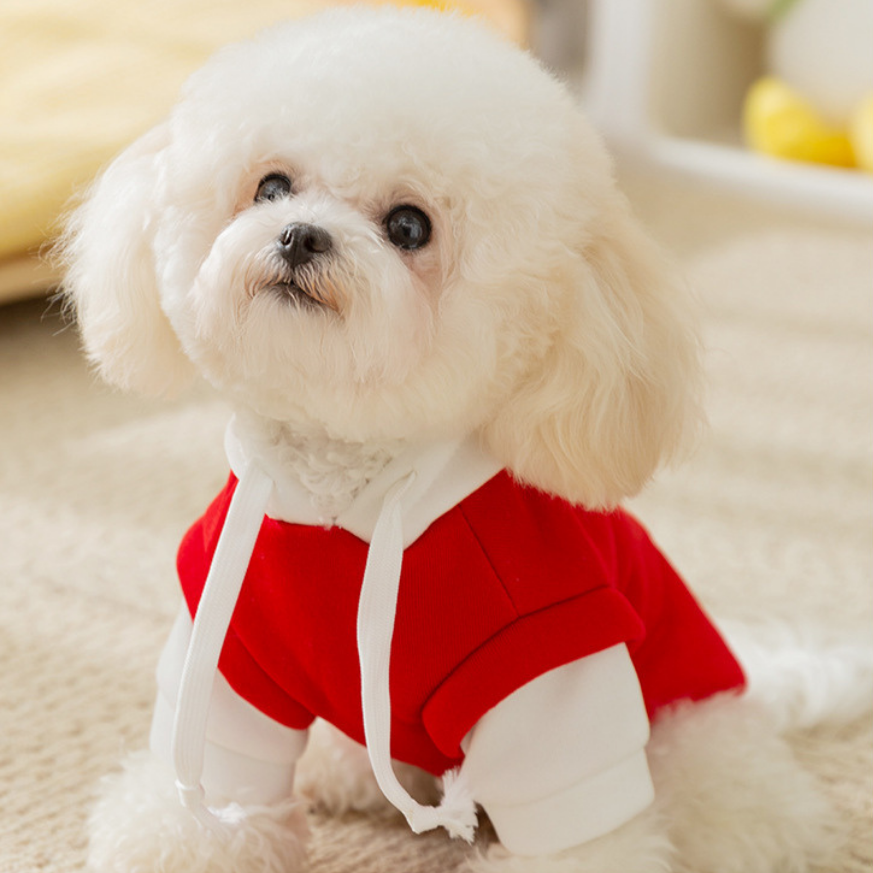 Sudadera con Capucha Huellita