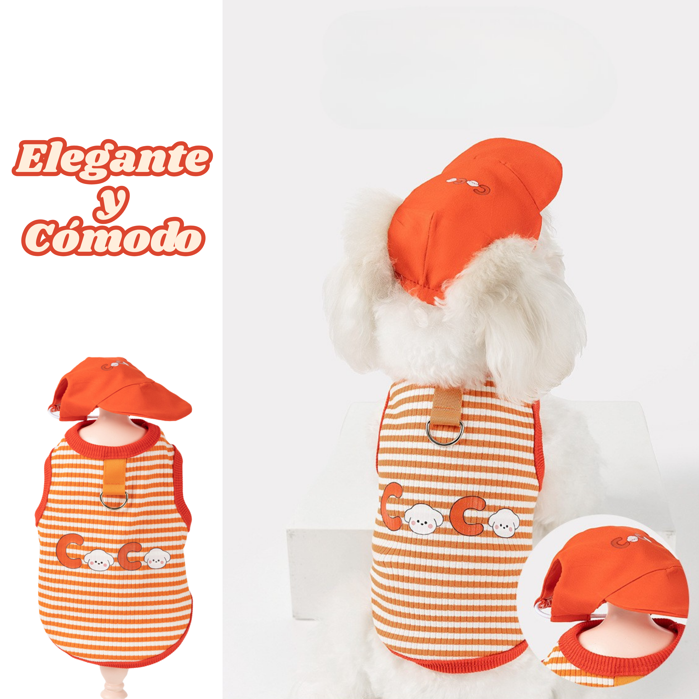 Conjunto Deportivo para Perros