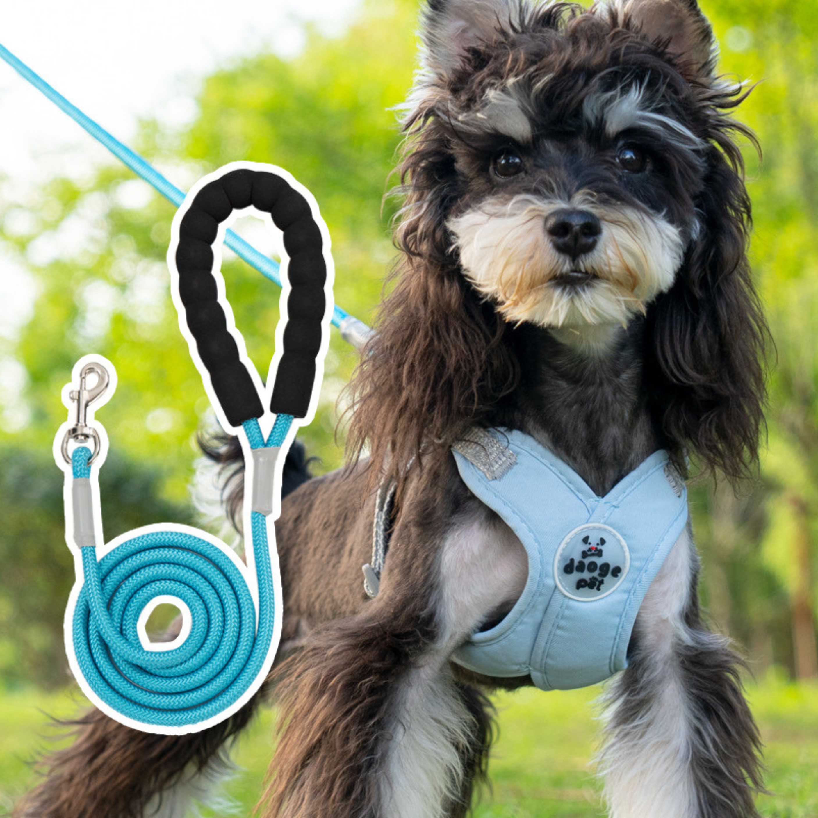 Set de Arnés Ergonómico para Perros