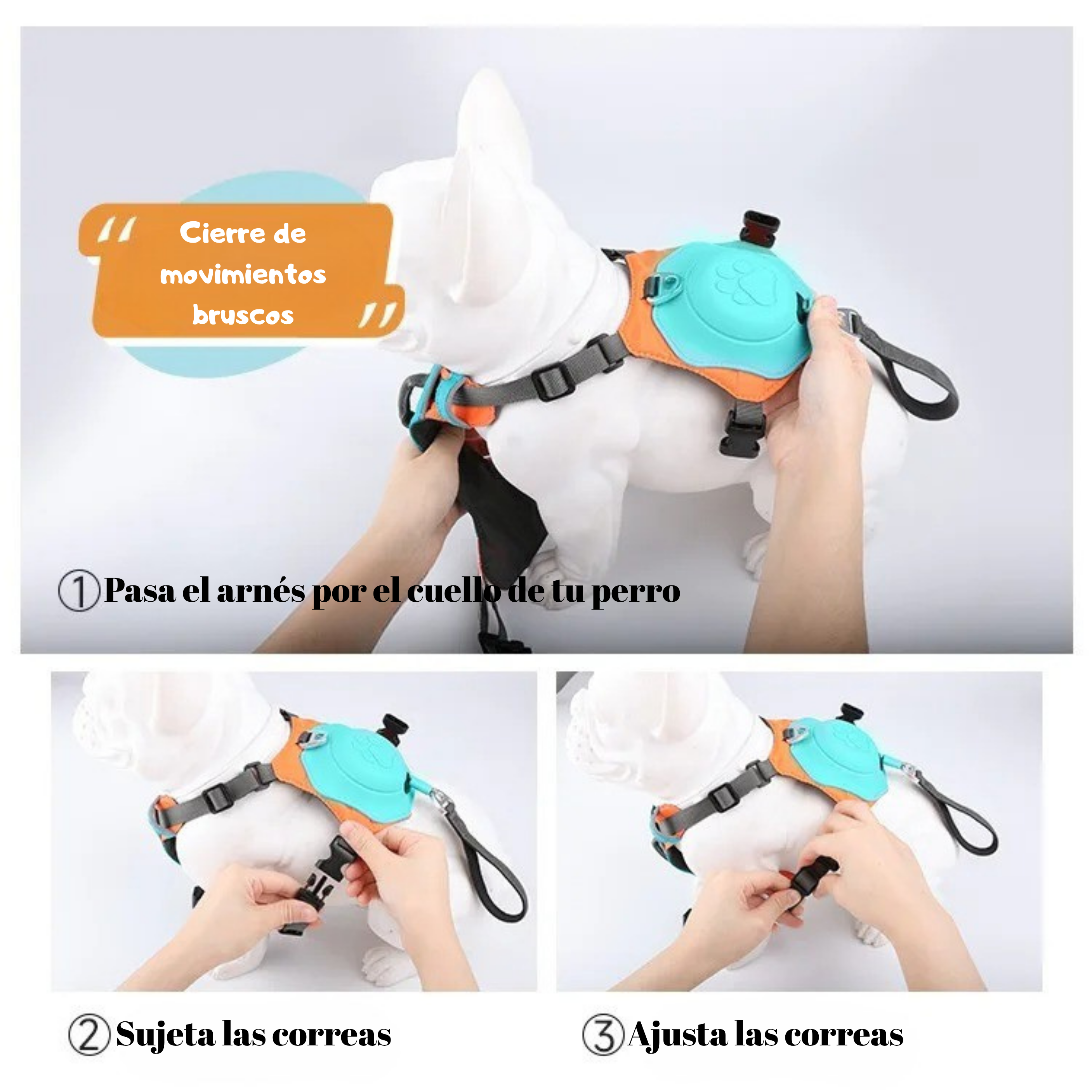 Arnés Multifuncional para Perros