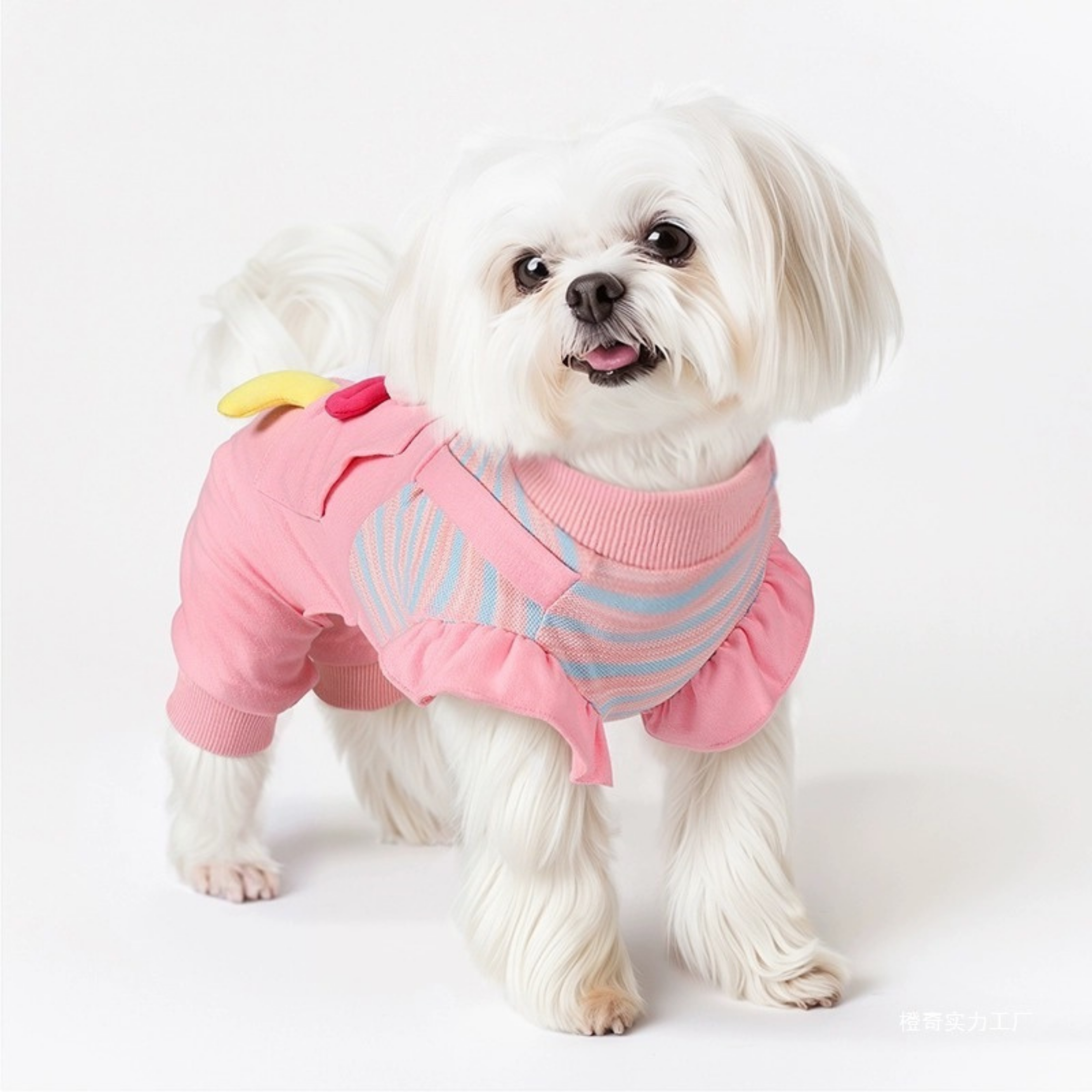 Mono Pastel SmileBuddy