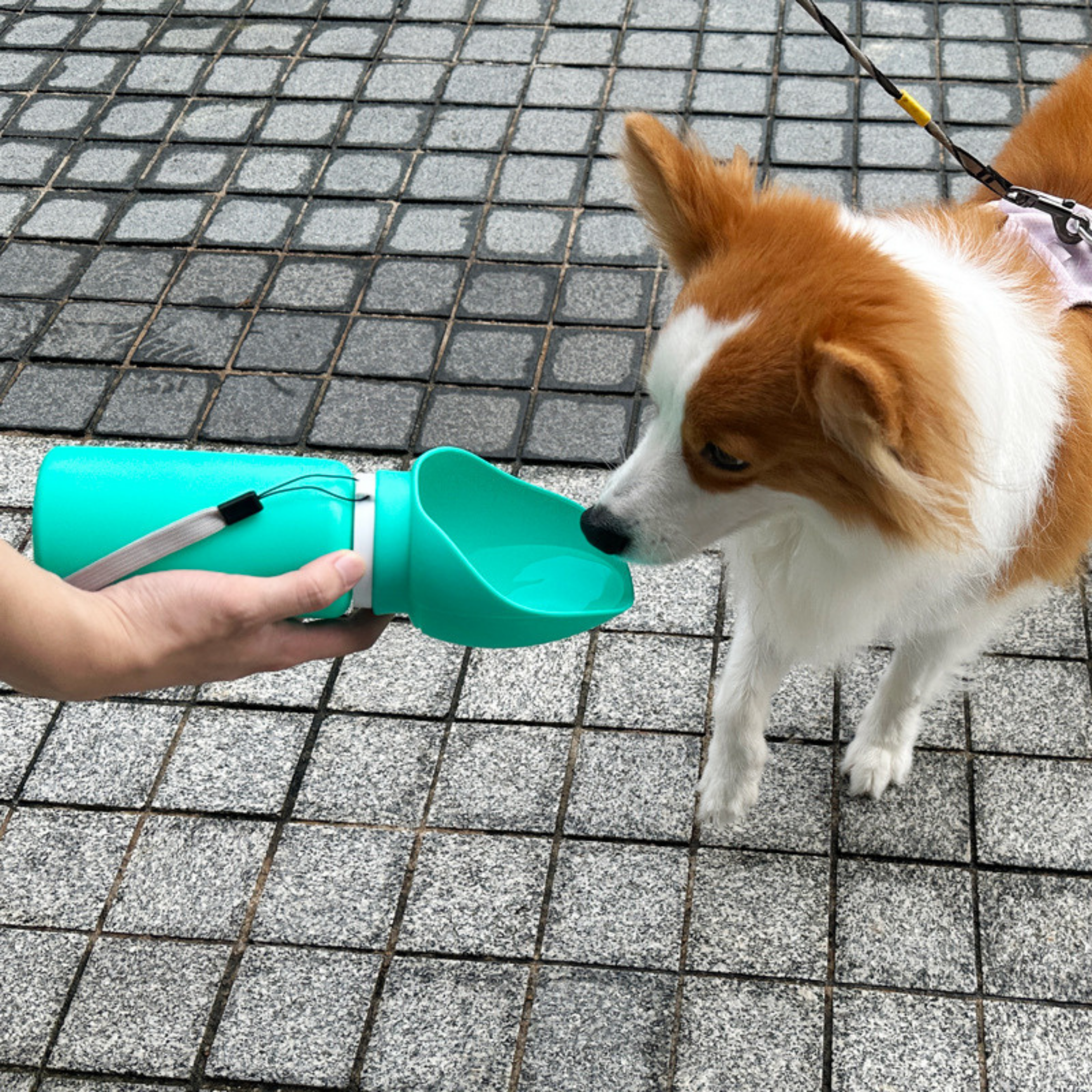 Botella de Agua Plegable
