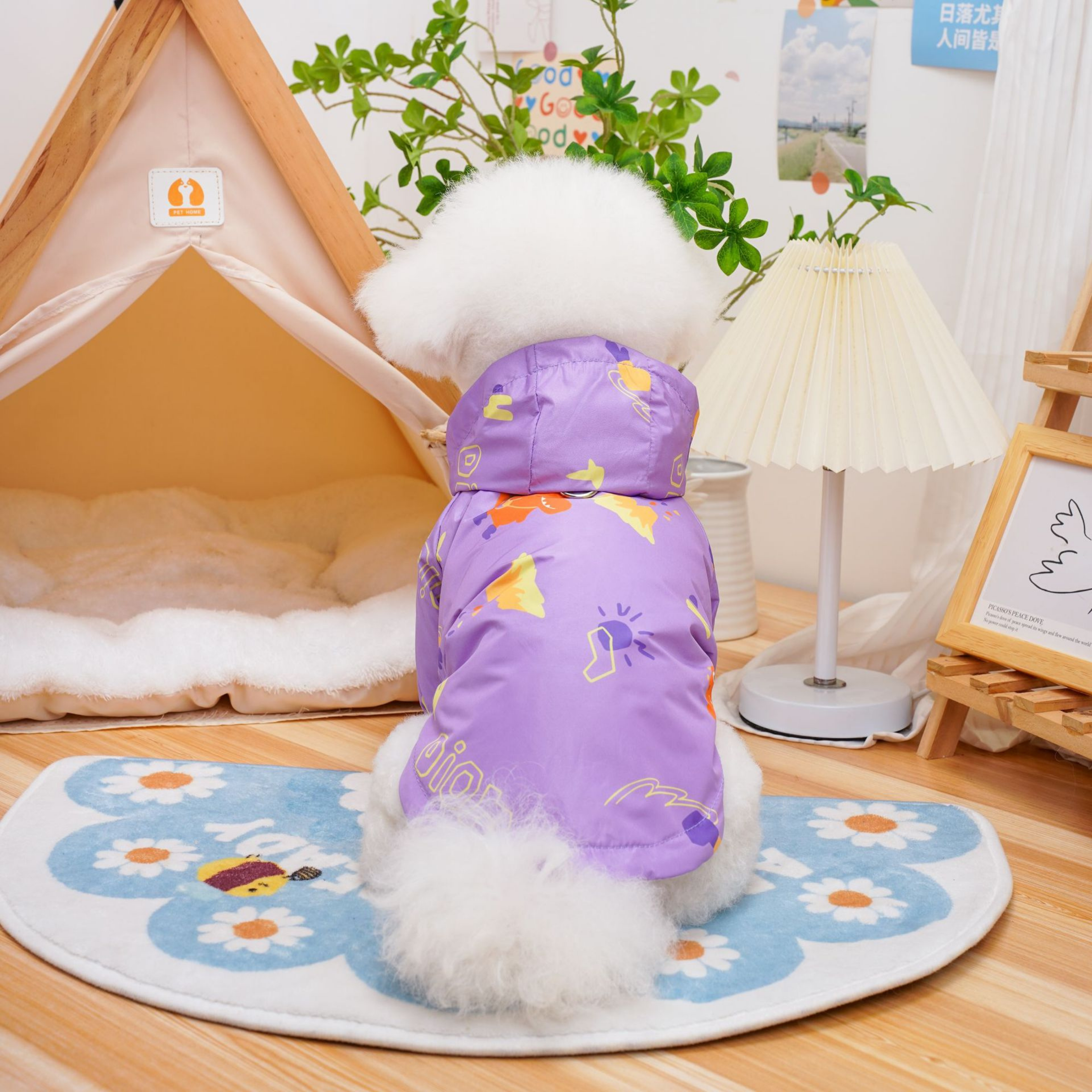 Conjunto Impermeable Colorido RainDay