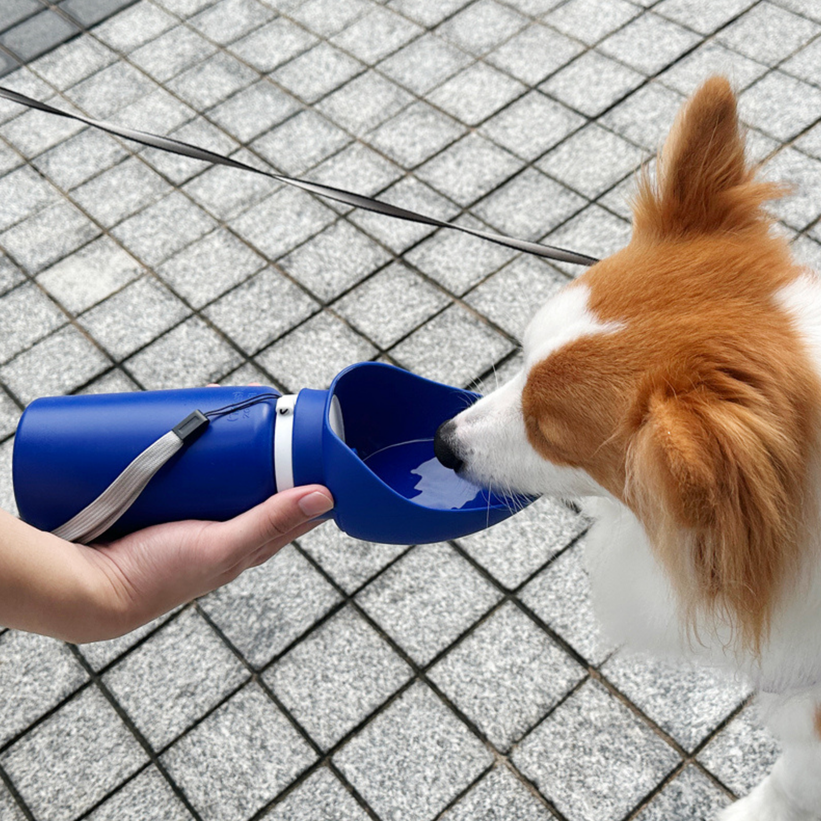 Botella de Agua Plegable