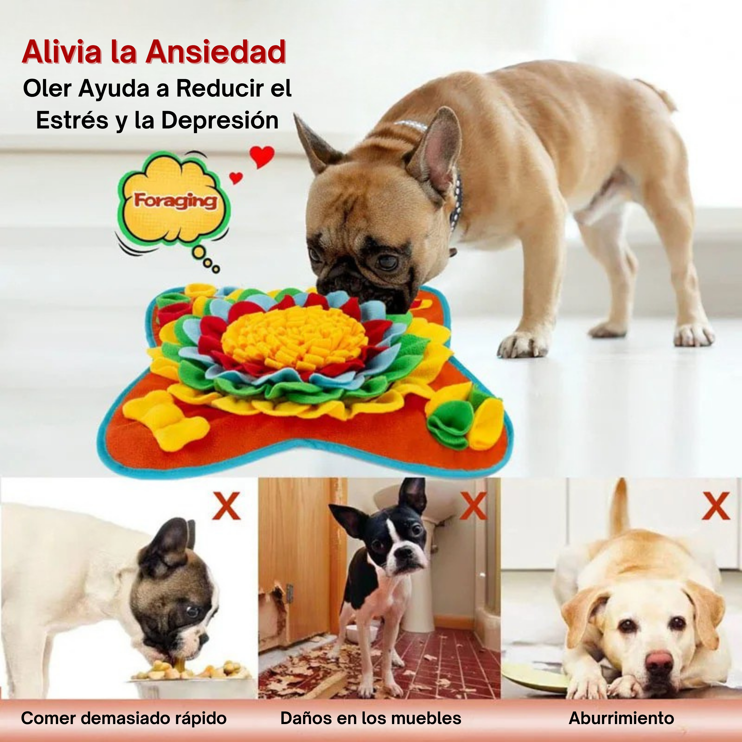 Alfombra Olfativa para Perros