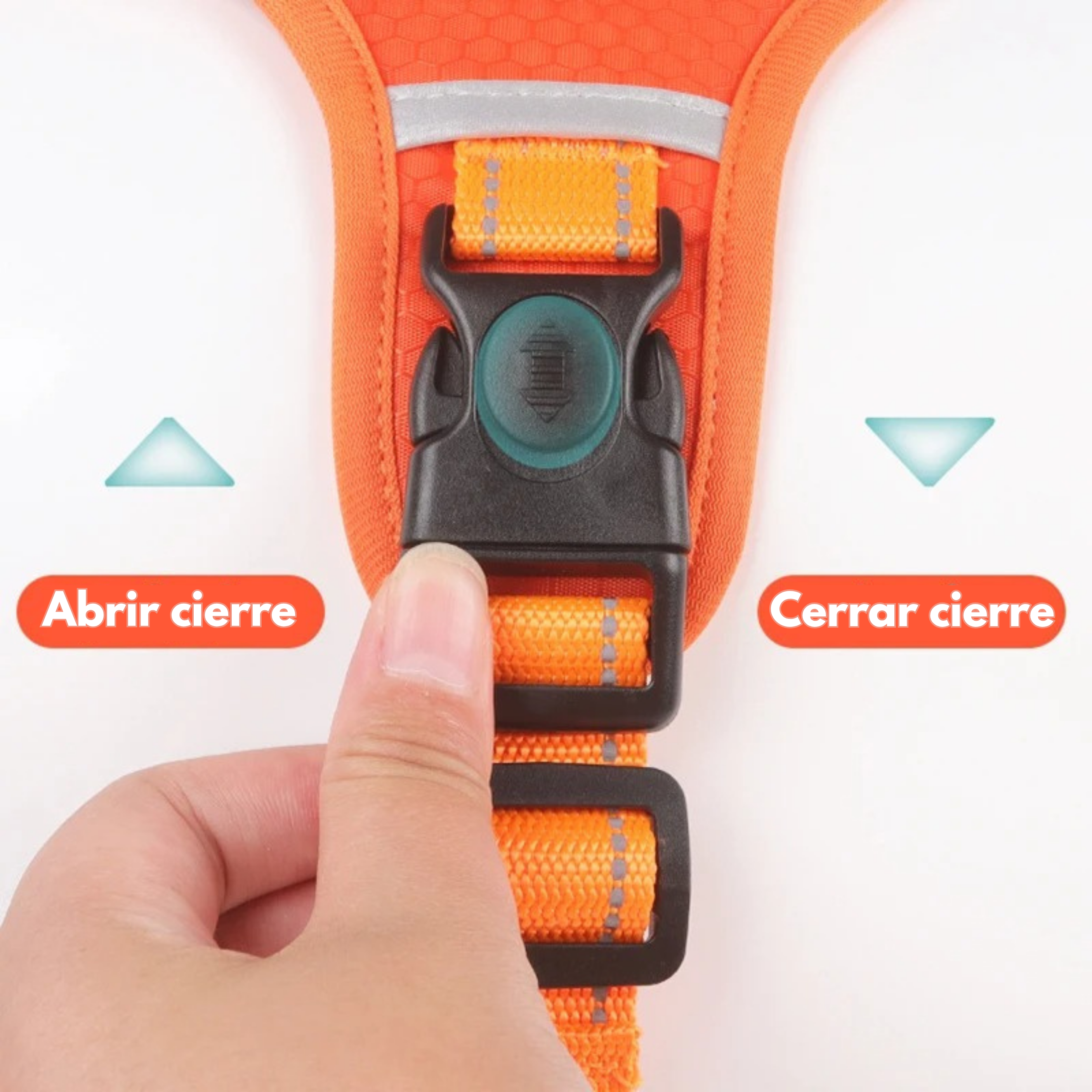 Arnés para Perros con Asa