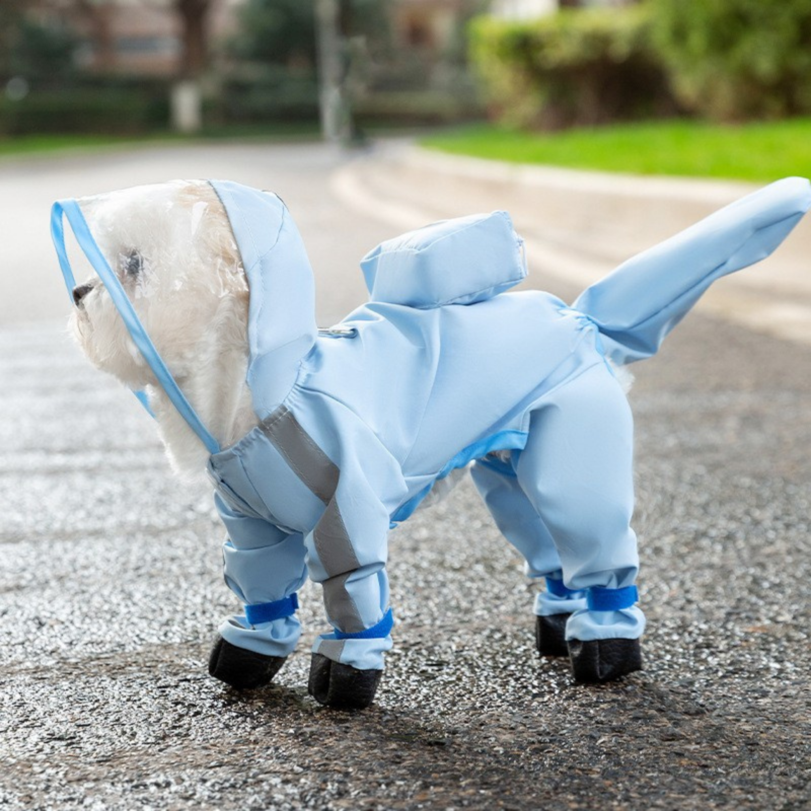 Impermeable para Perros