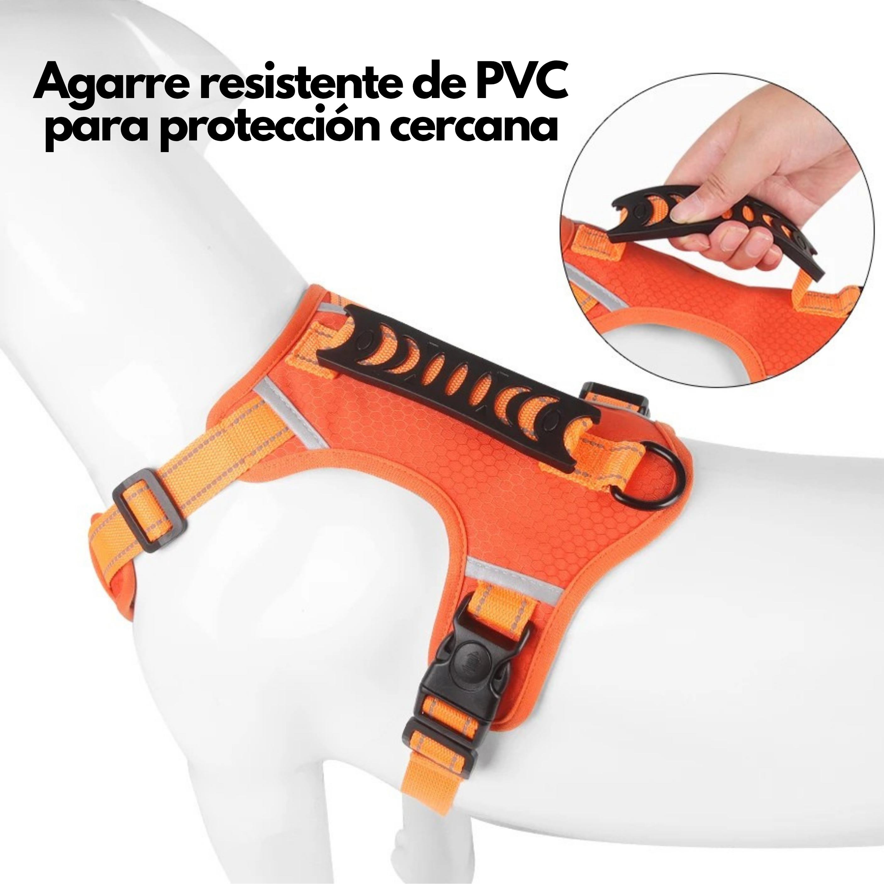 Arnés para Perros con Asa