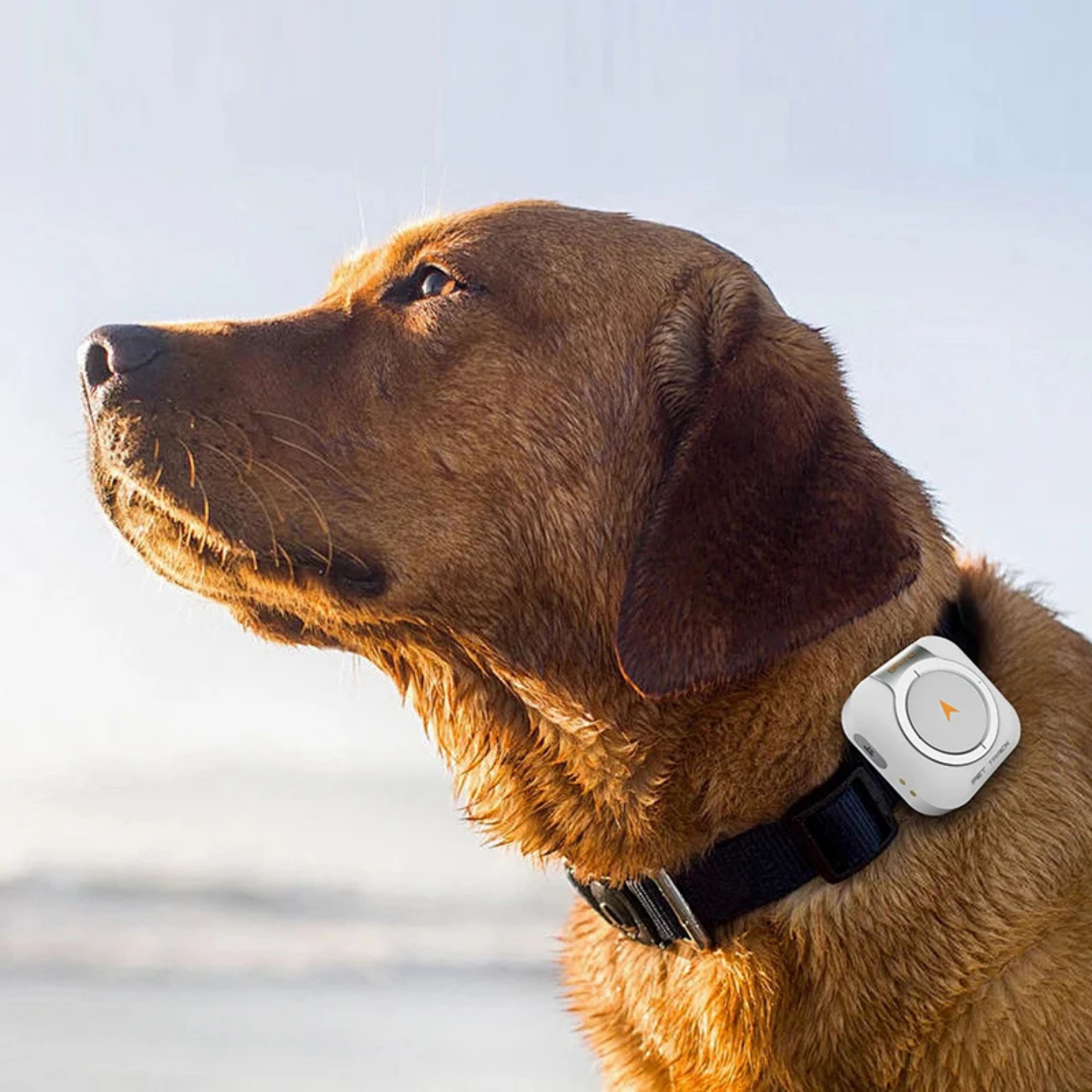 Dispositivo GPS Inteligente