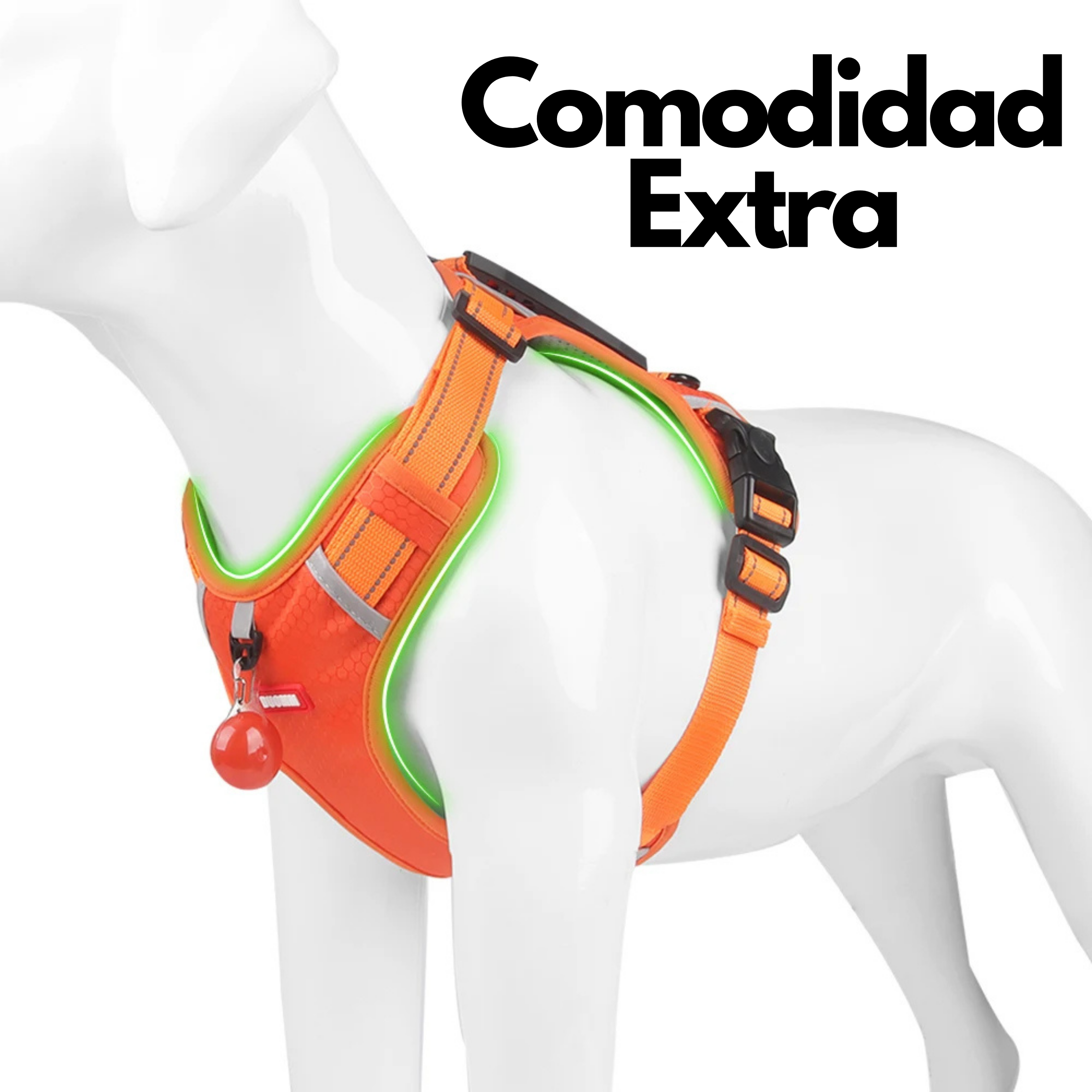 Arnés para Perros con Asa