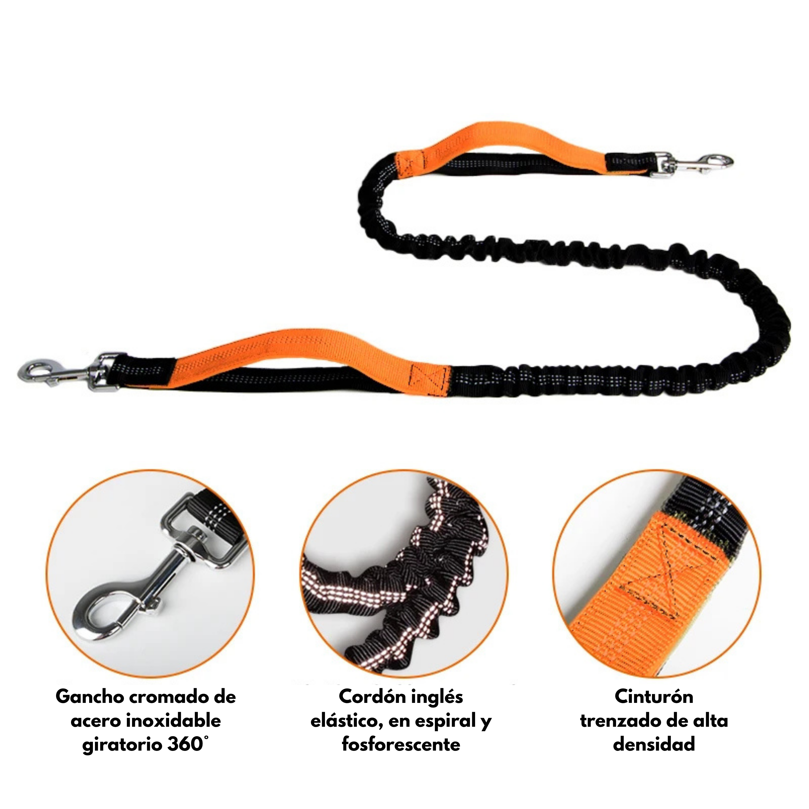 Cinturón Multifuncional para Perros