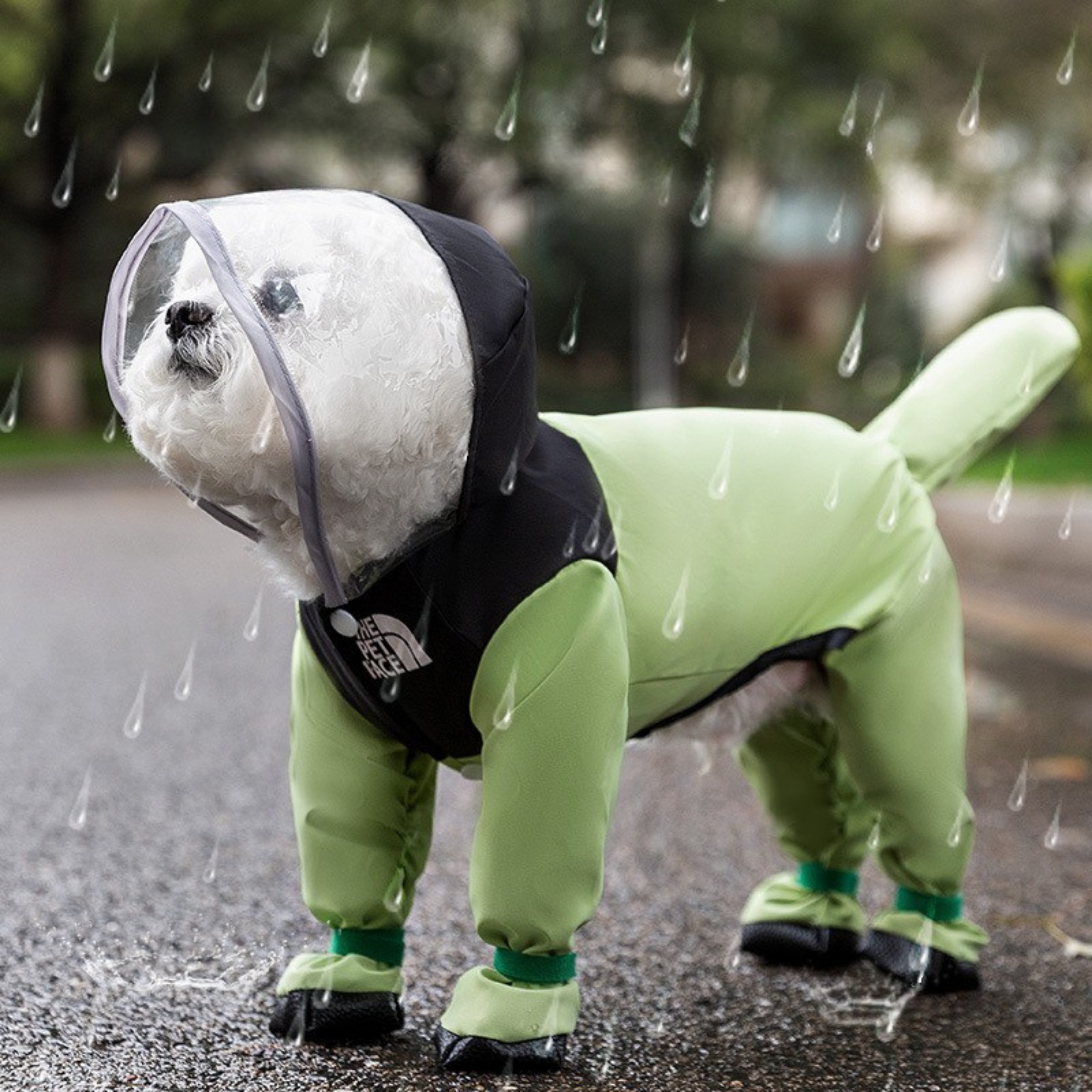 Abrigo de Paseo para Perros