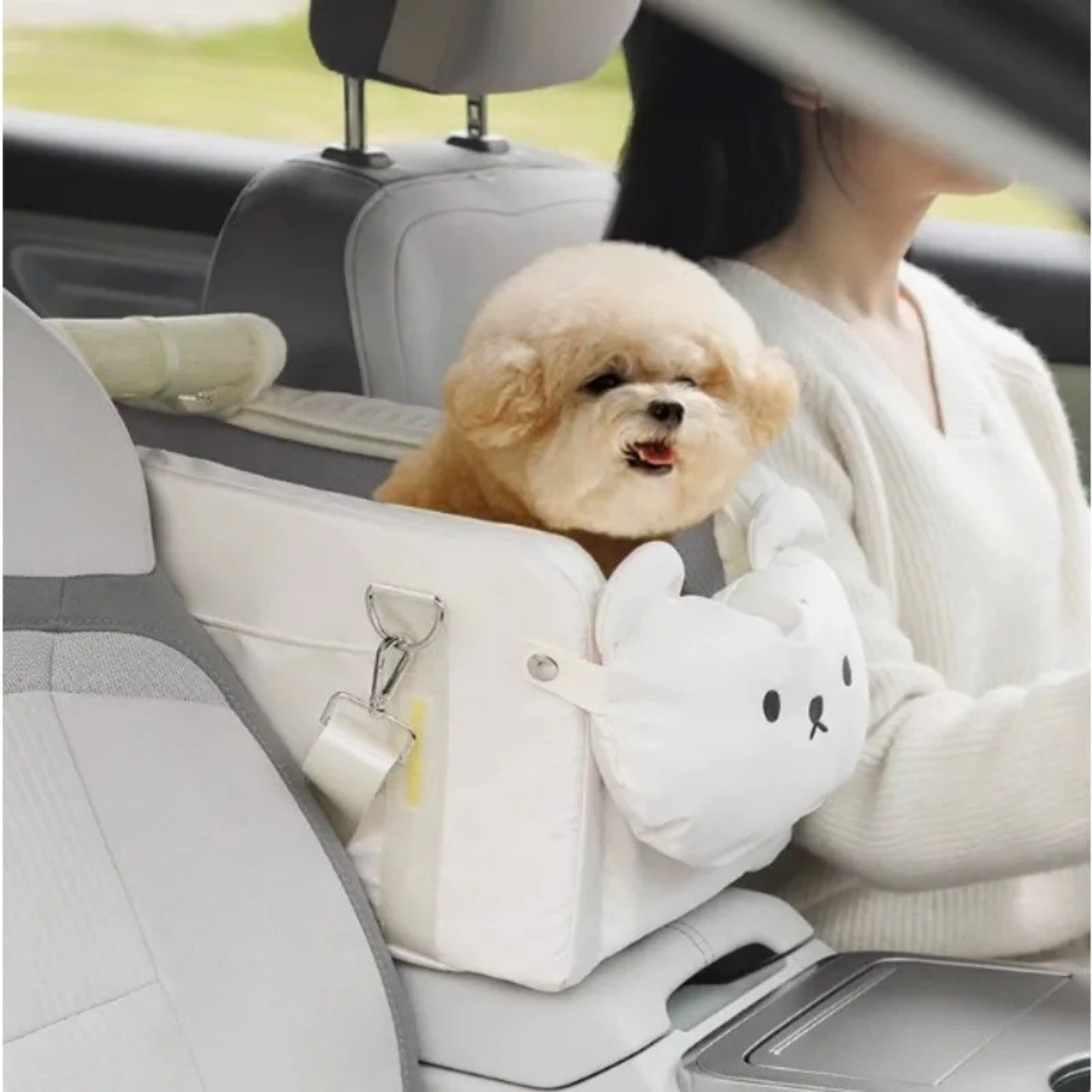 Maltepoodle