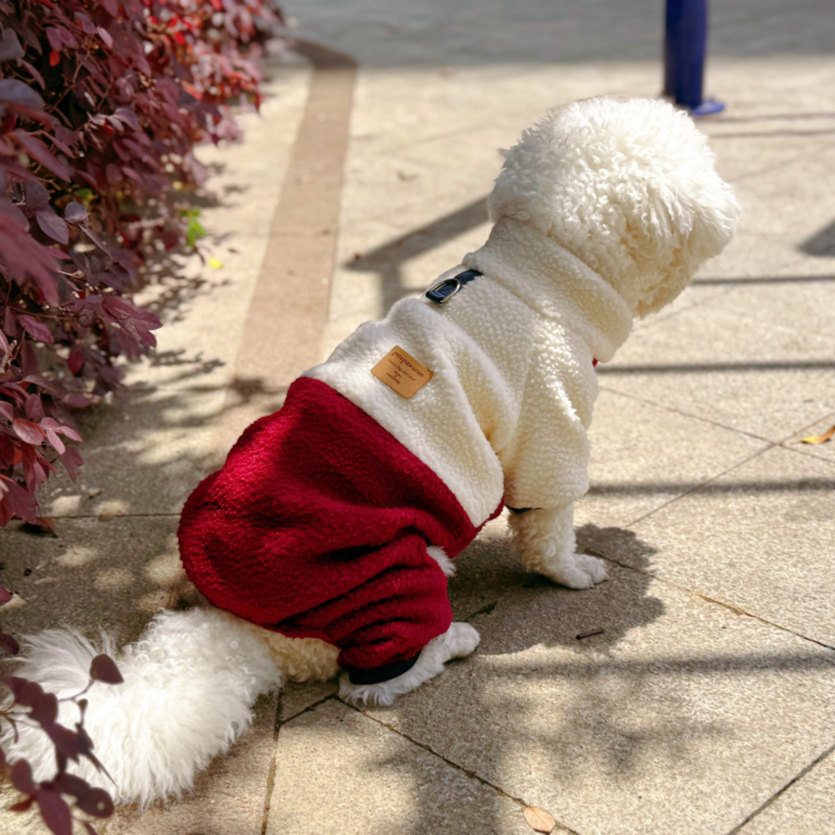 Polar Bicolor ColdDays para Perros