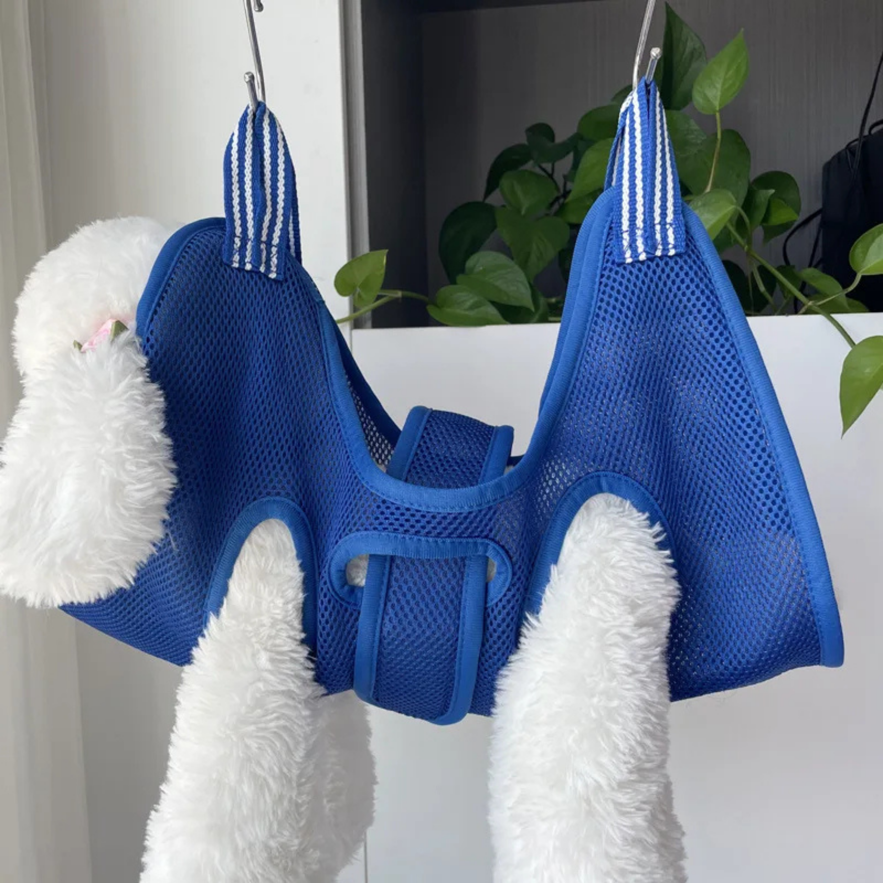 Arnés de Sujeción para Perros