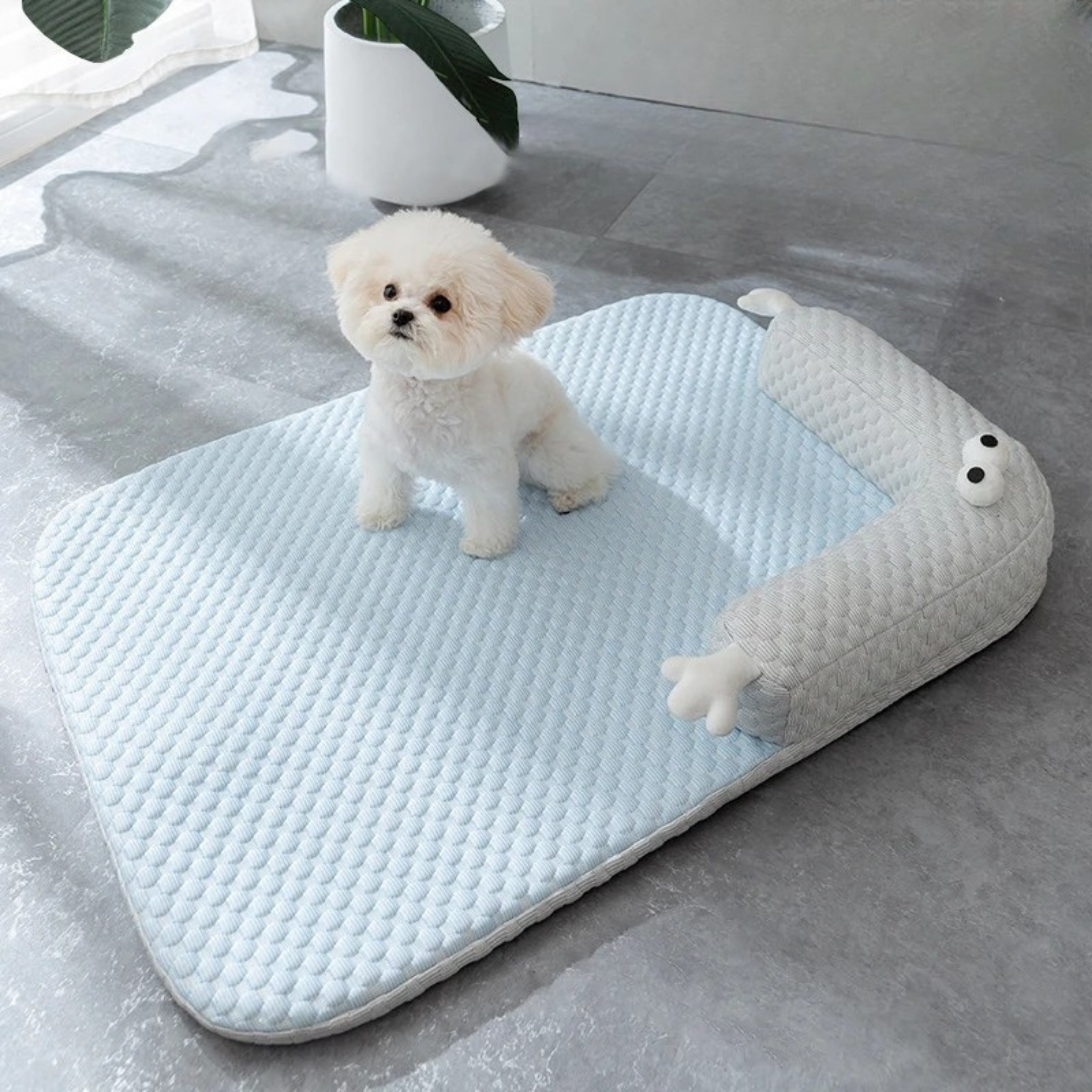 Maltepoodle