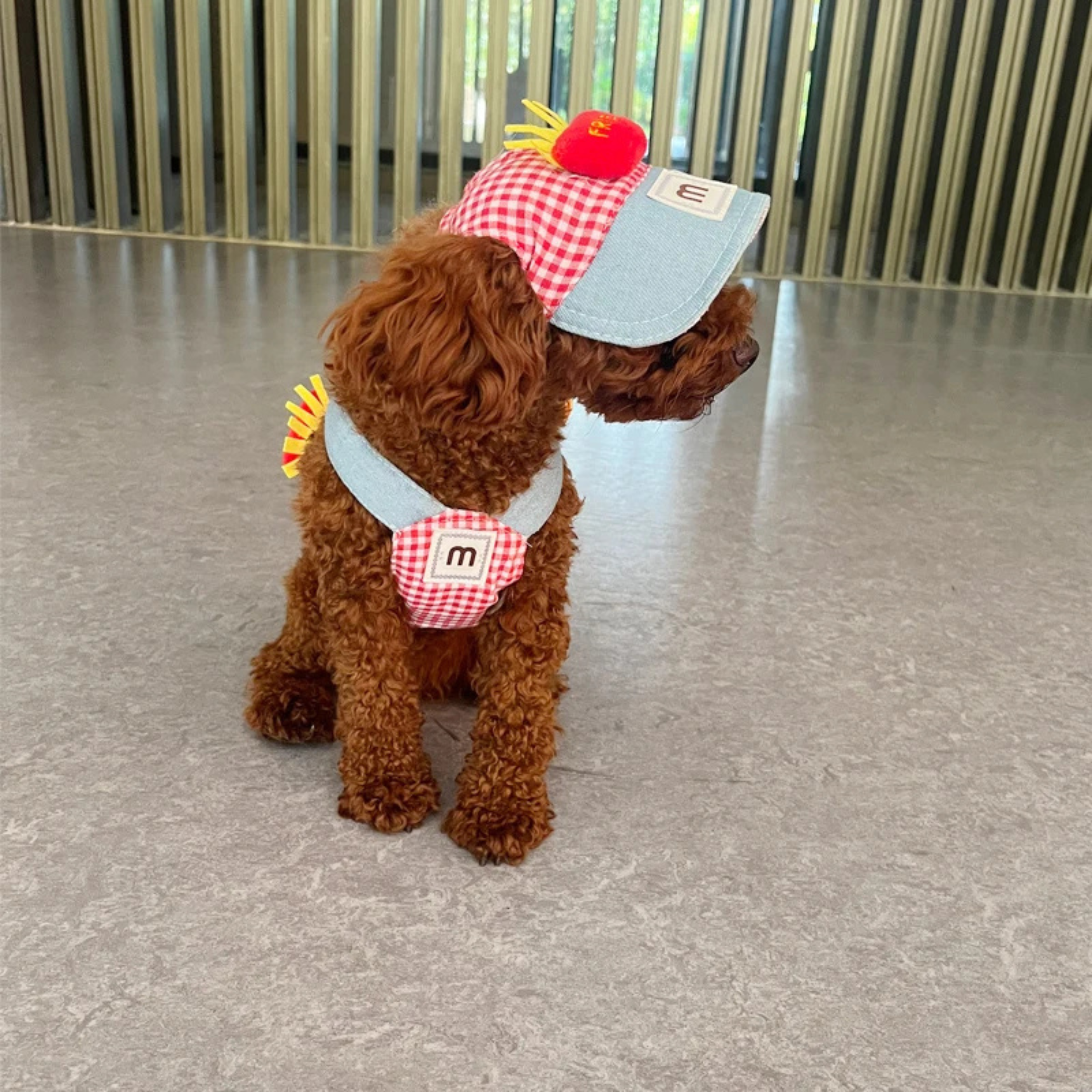 Set de Disfraces Adorables para Perros