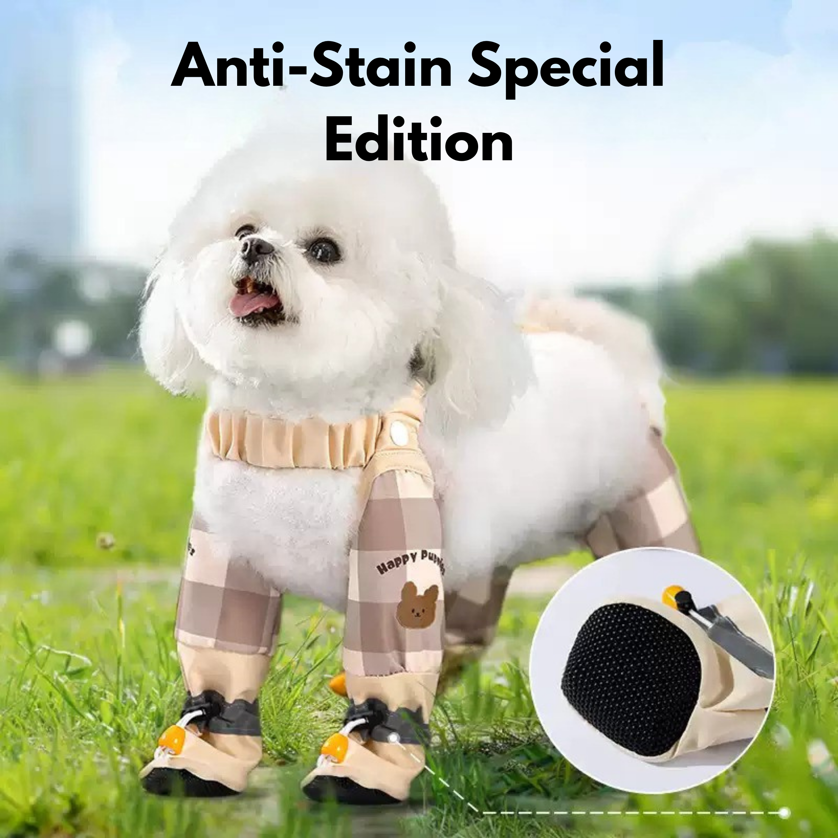 Maltepoodle