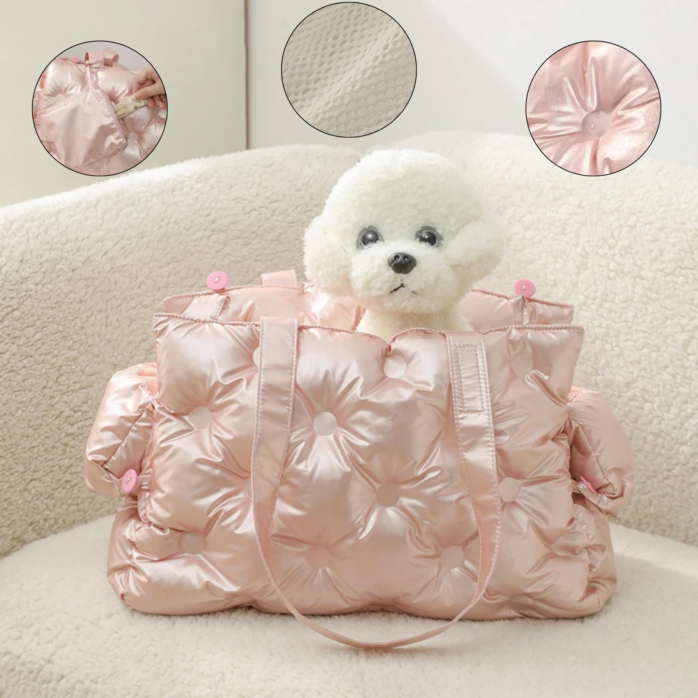 Maltepoodle