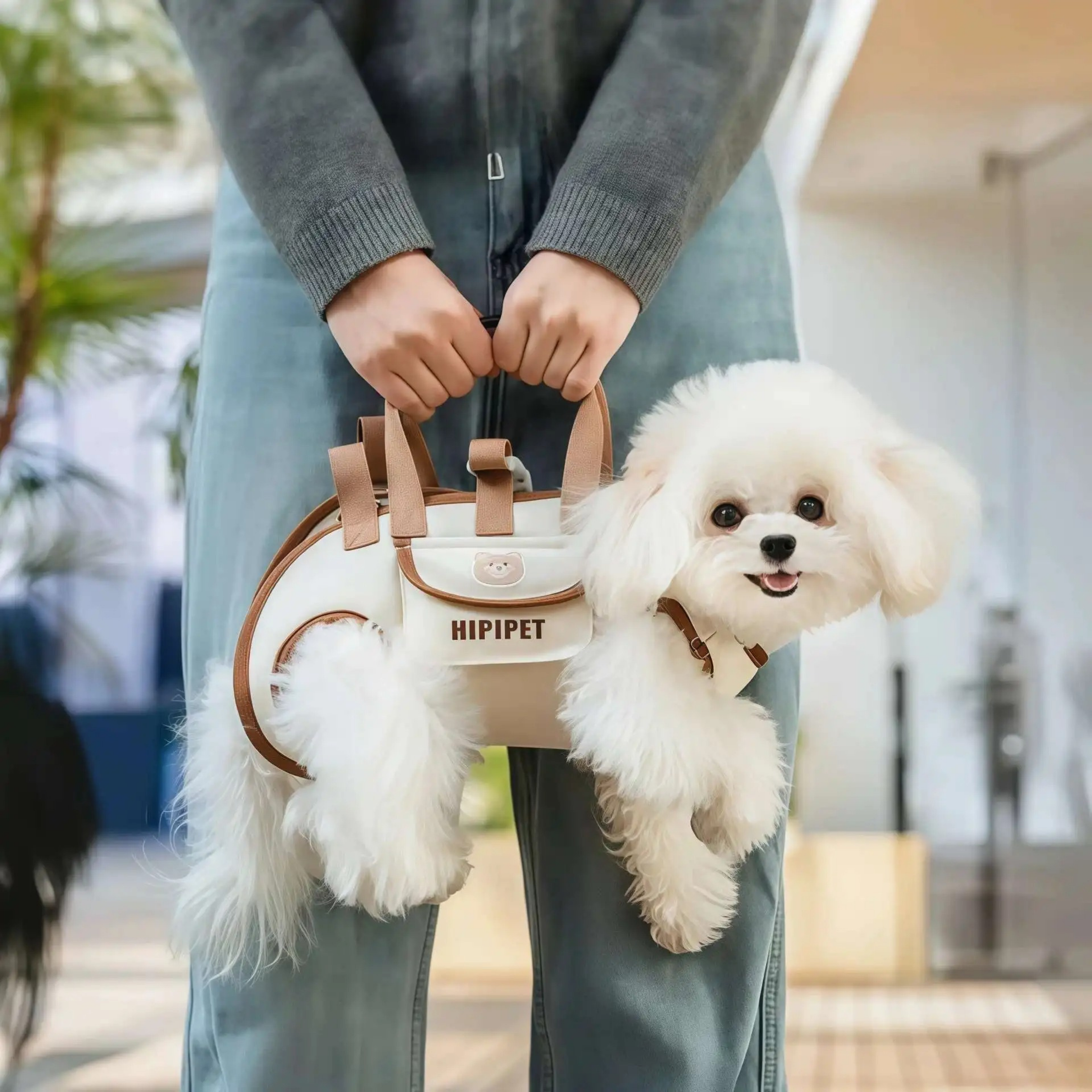 Maltepoodle