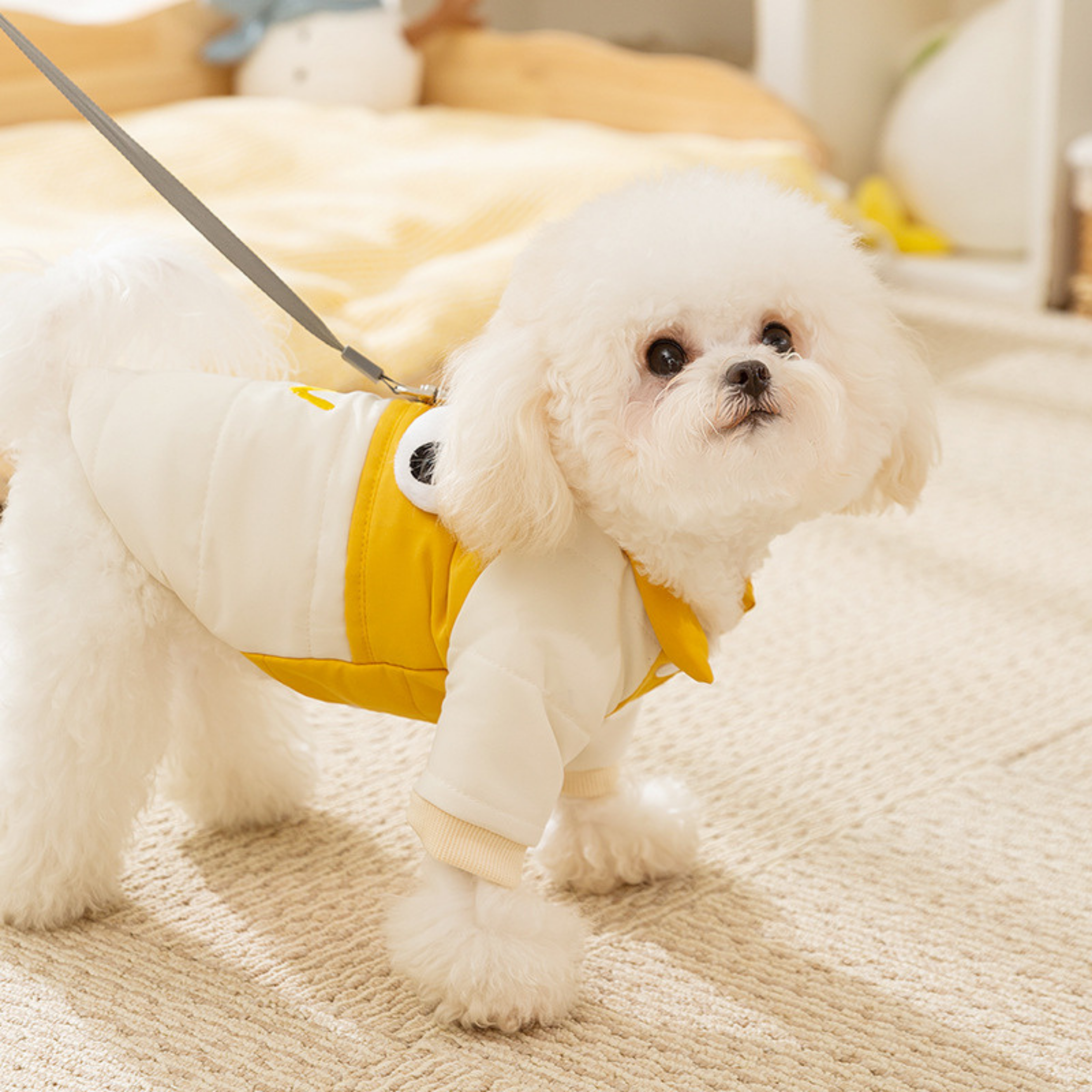 Abrigo Diseño HappyDog