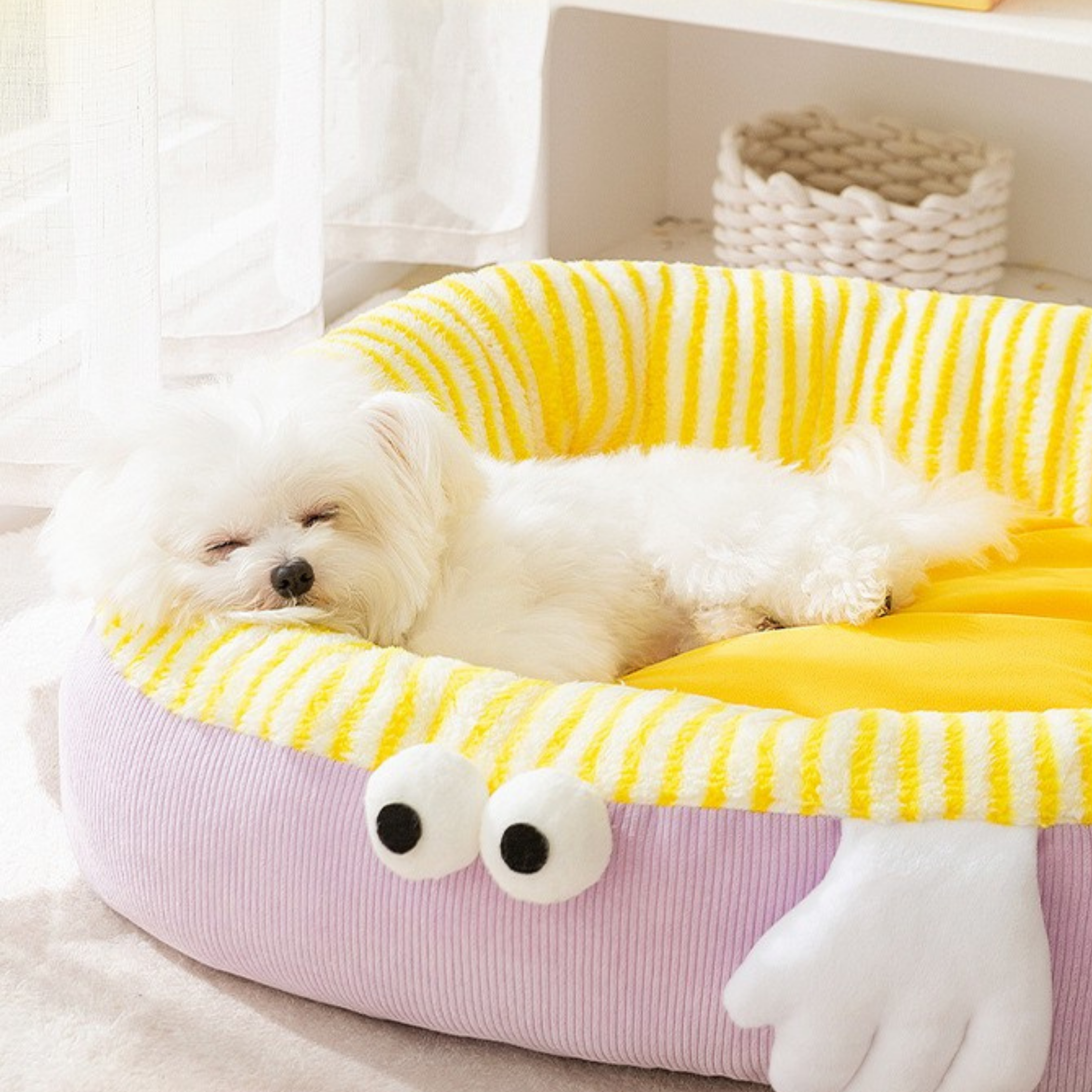 Maltepoodle