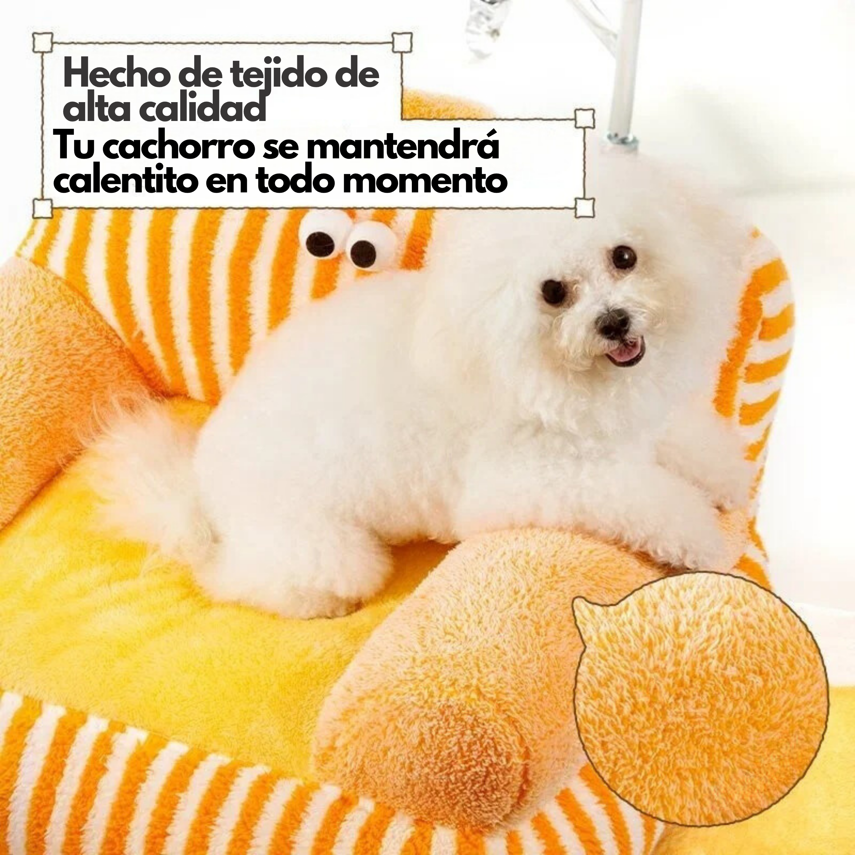 Maltepoodle España