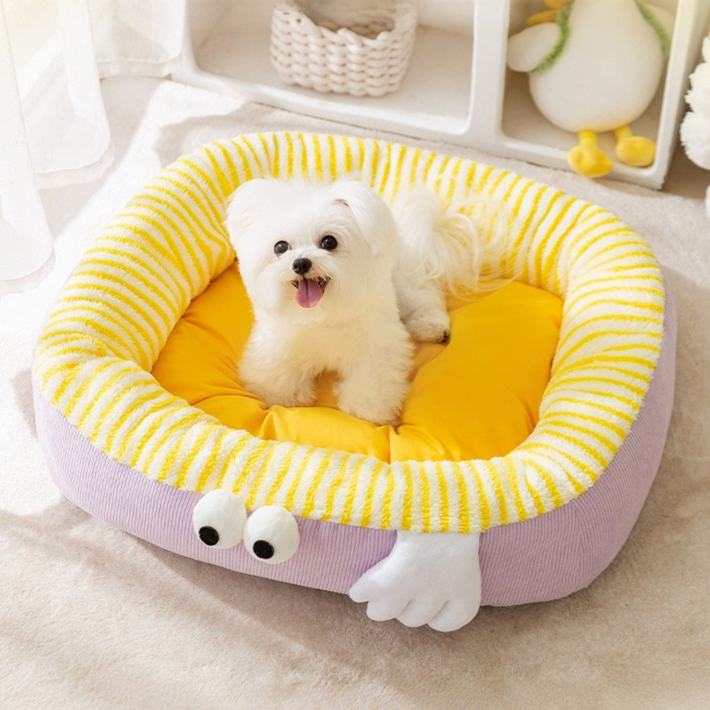 Maltepoodle