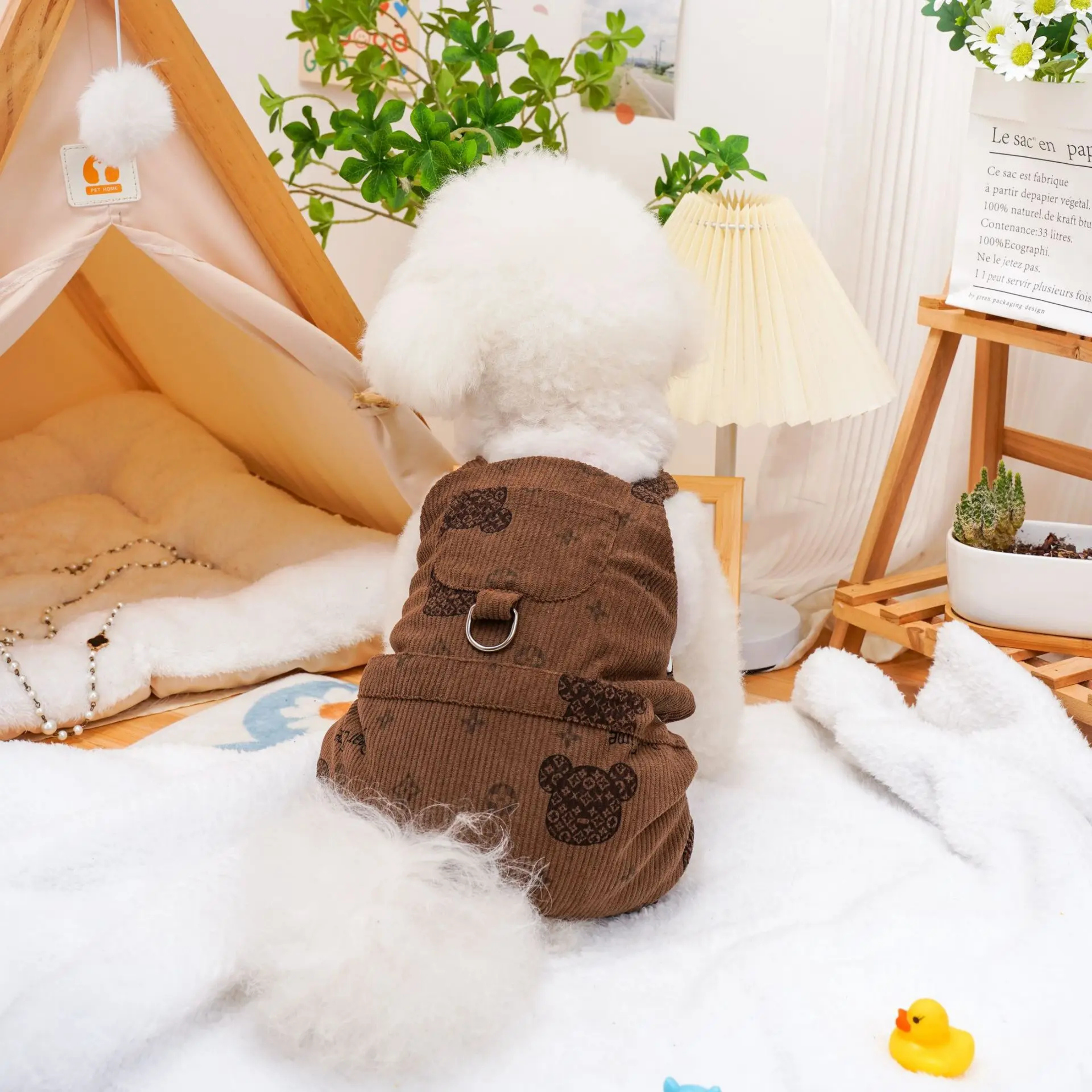 Maltepoodle