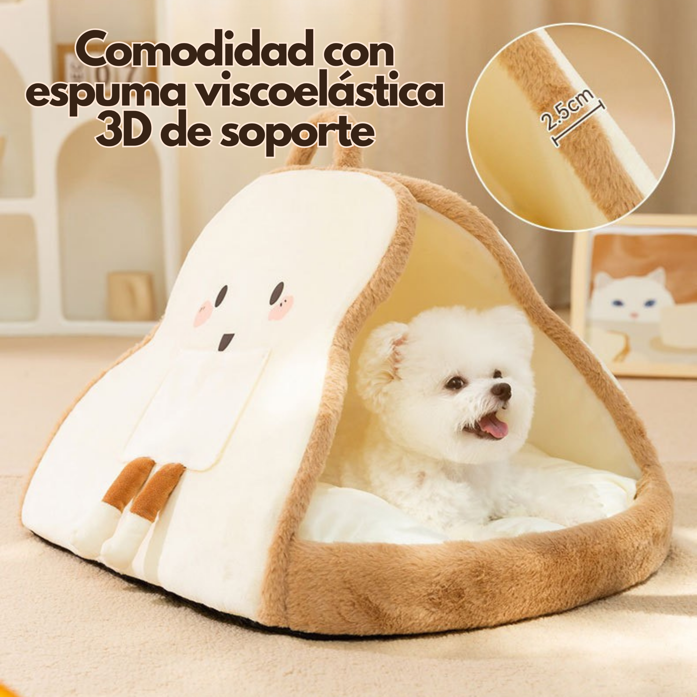 Maltepoodle España