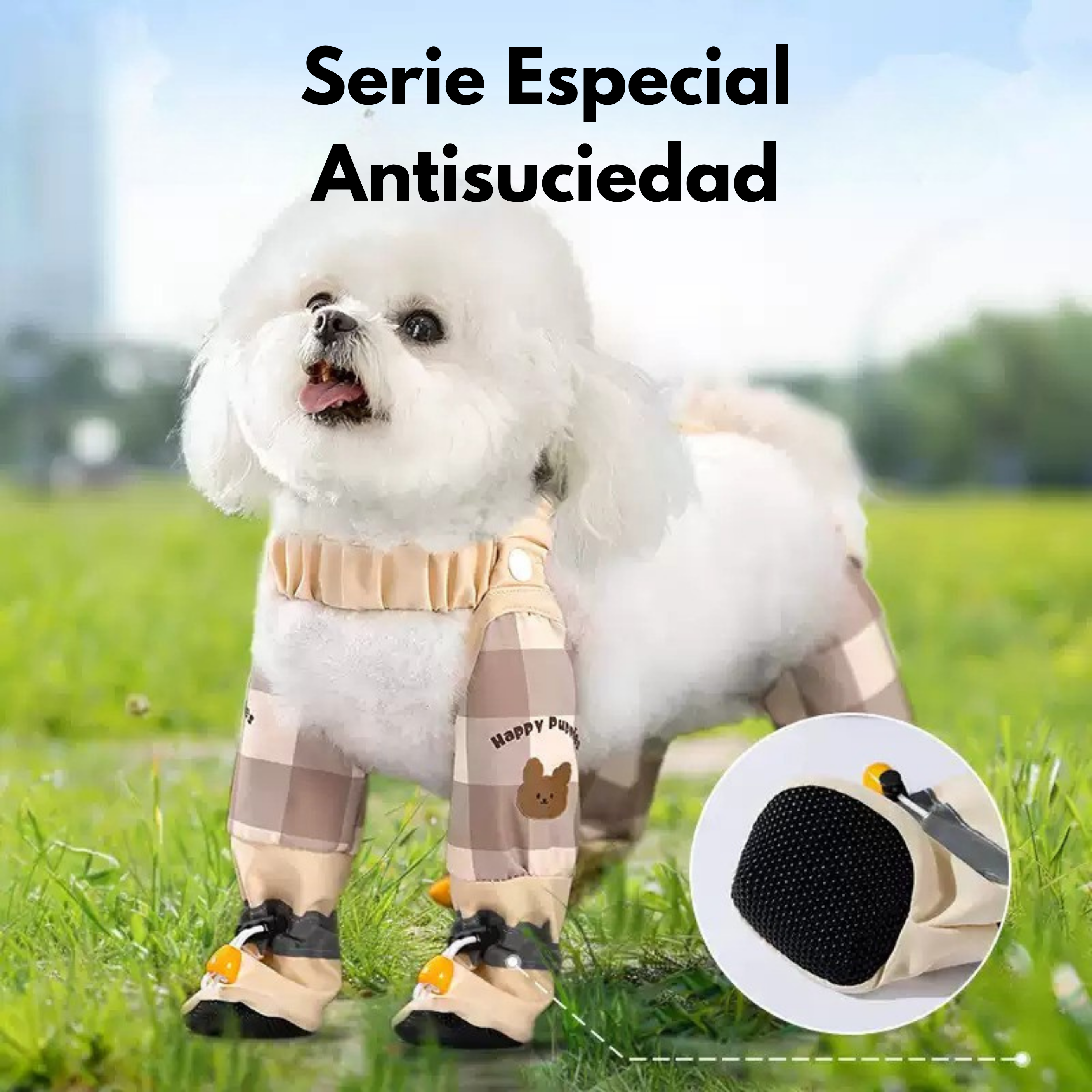 Maltepoodle España