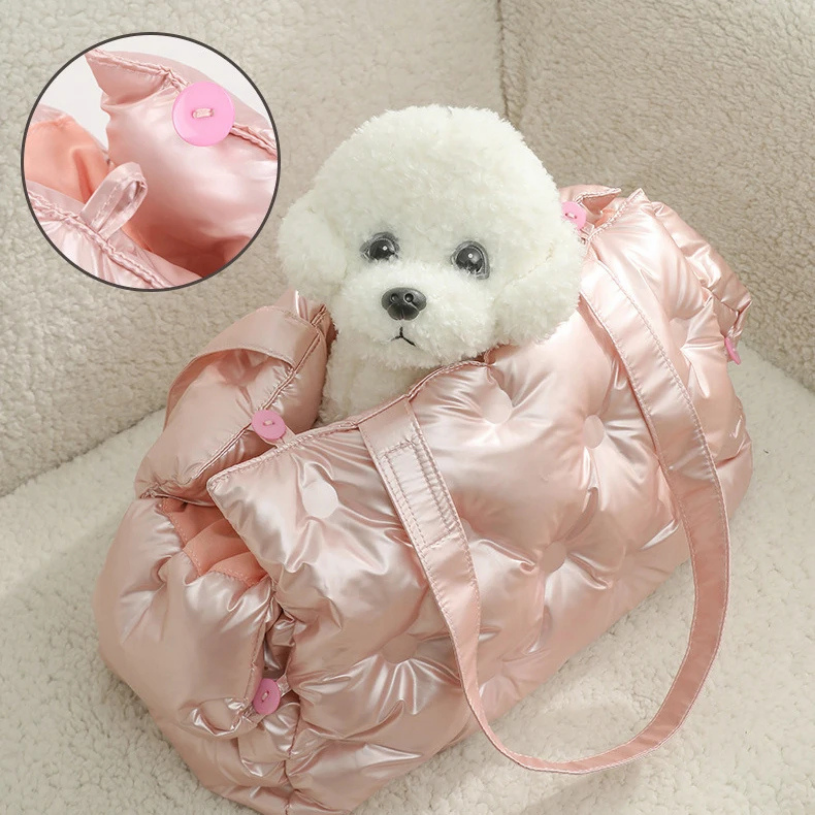 Maltepoodle