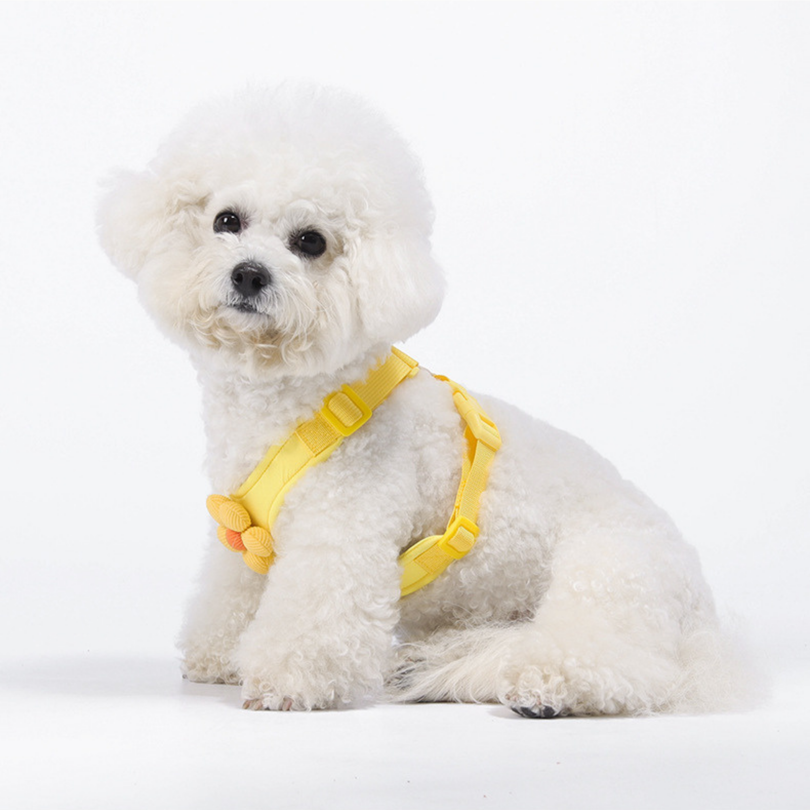 Set de Arnés Floral para Perros