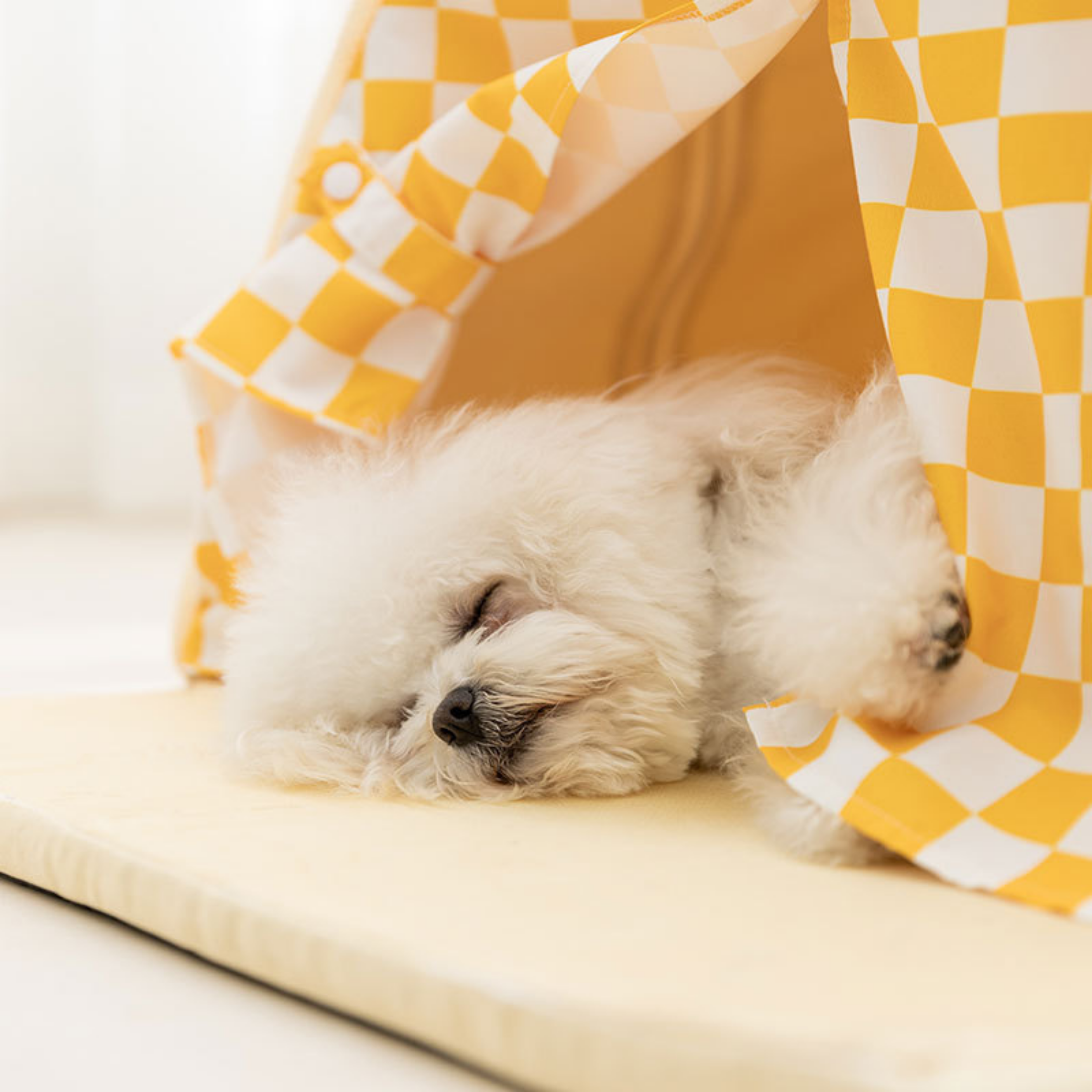 Cama Tienda Refrigerante para Mascotas