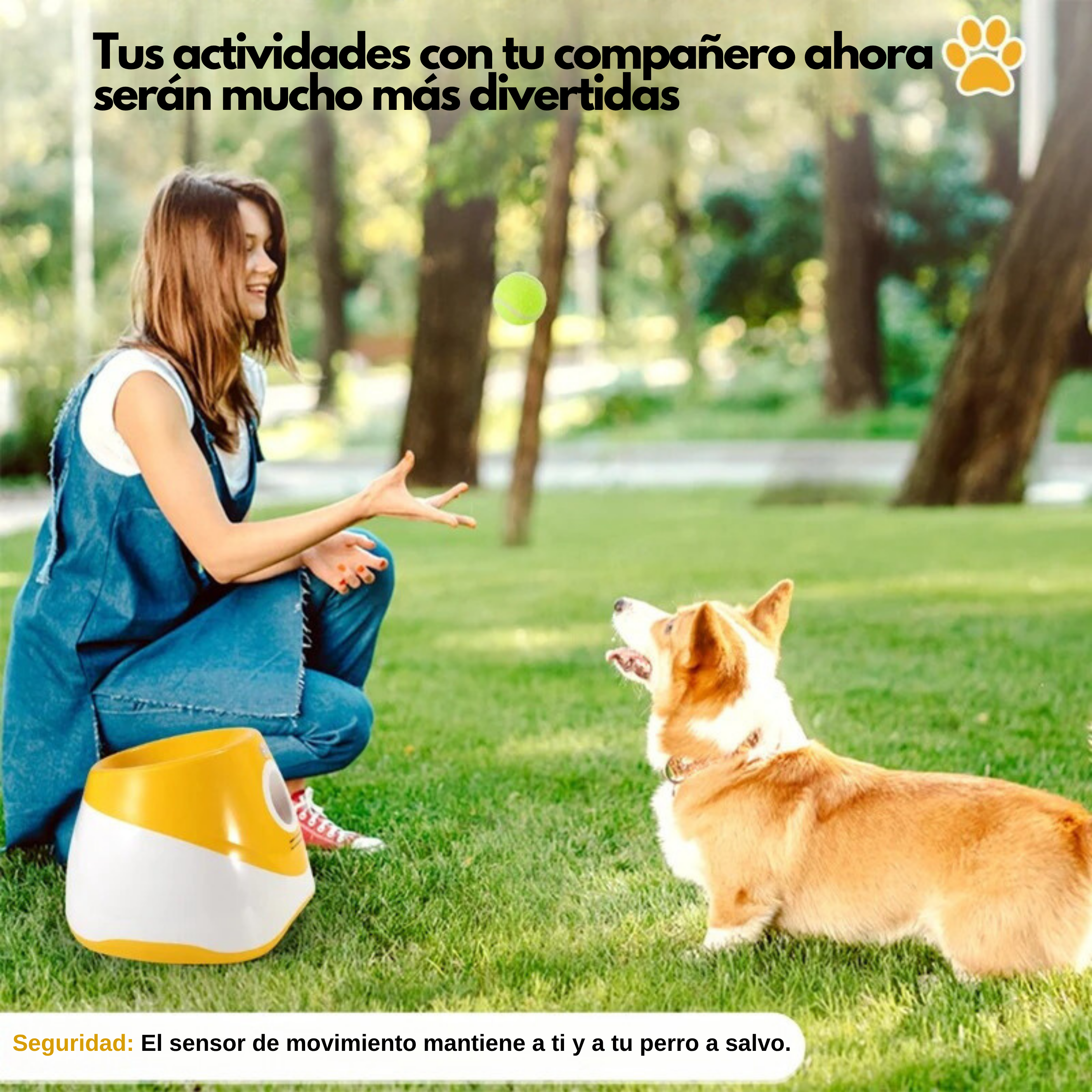 Lanzador Automático de Pelotas