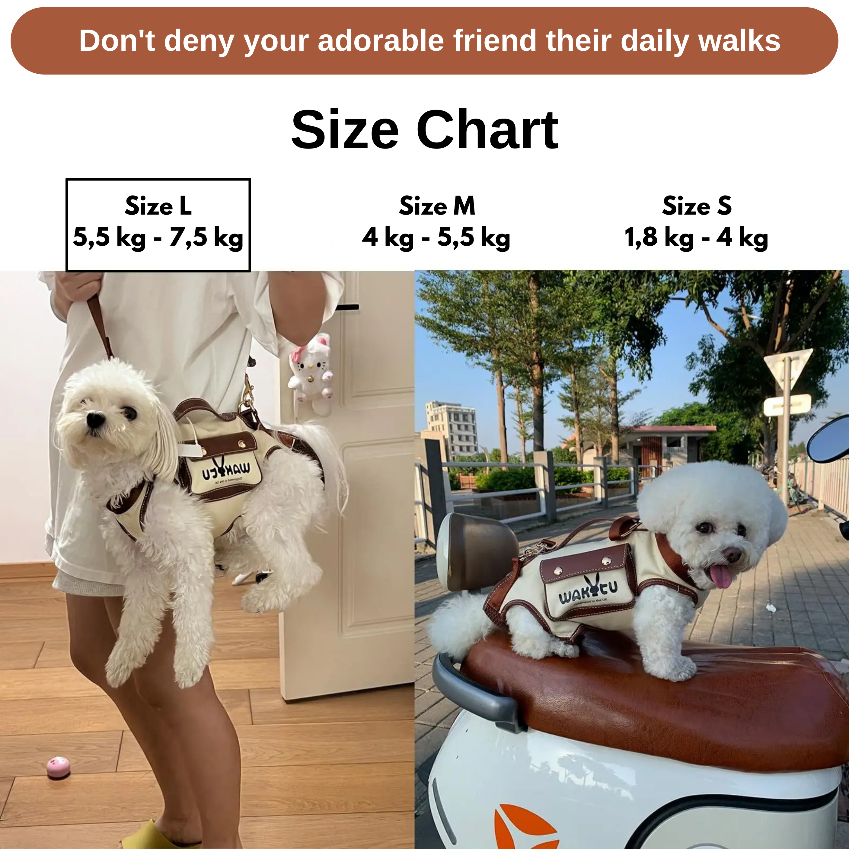 Maltepoodle