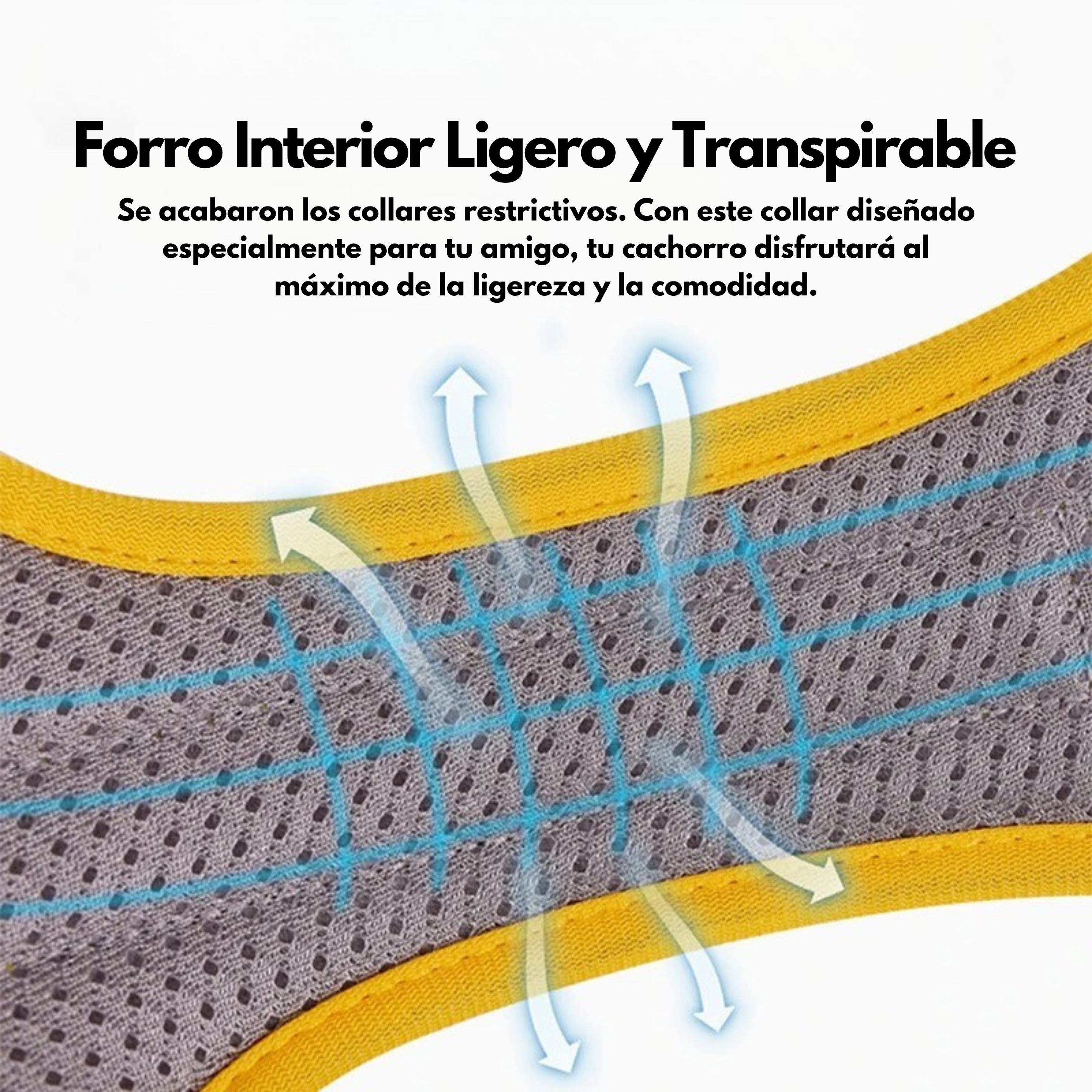 Arnés para Perros con Asa