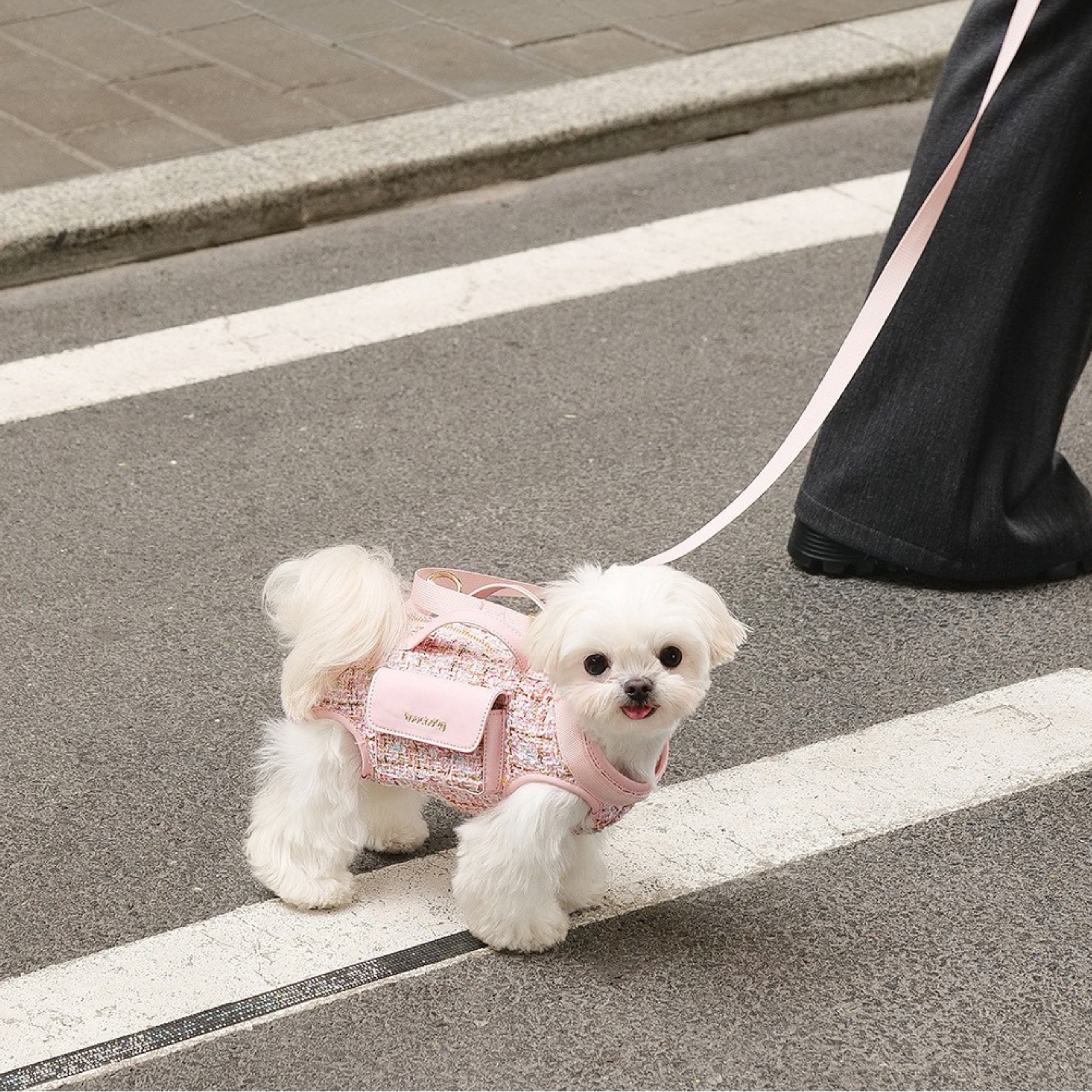 Set de Ropa Diseñada Multifuncional para Perros