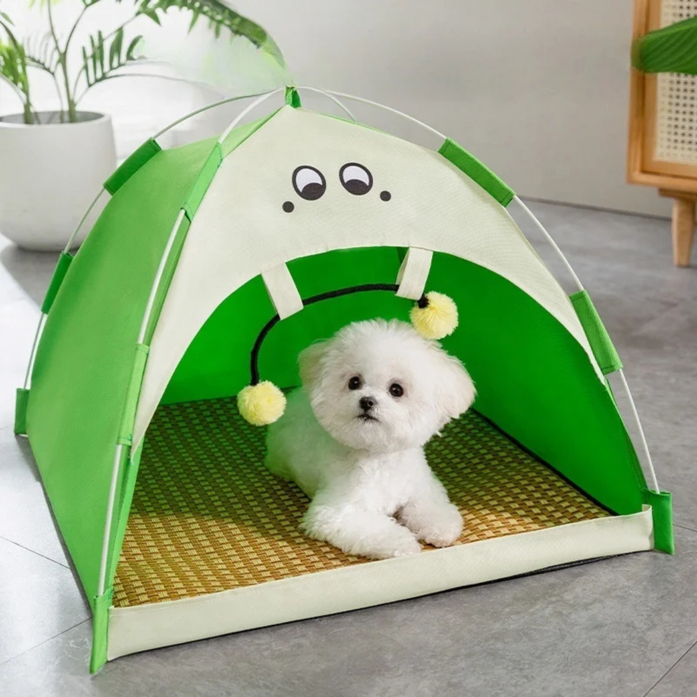 Tienda Estacional para Mascotas